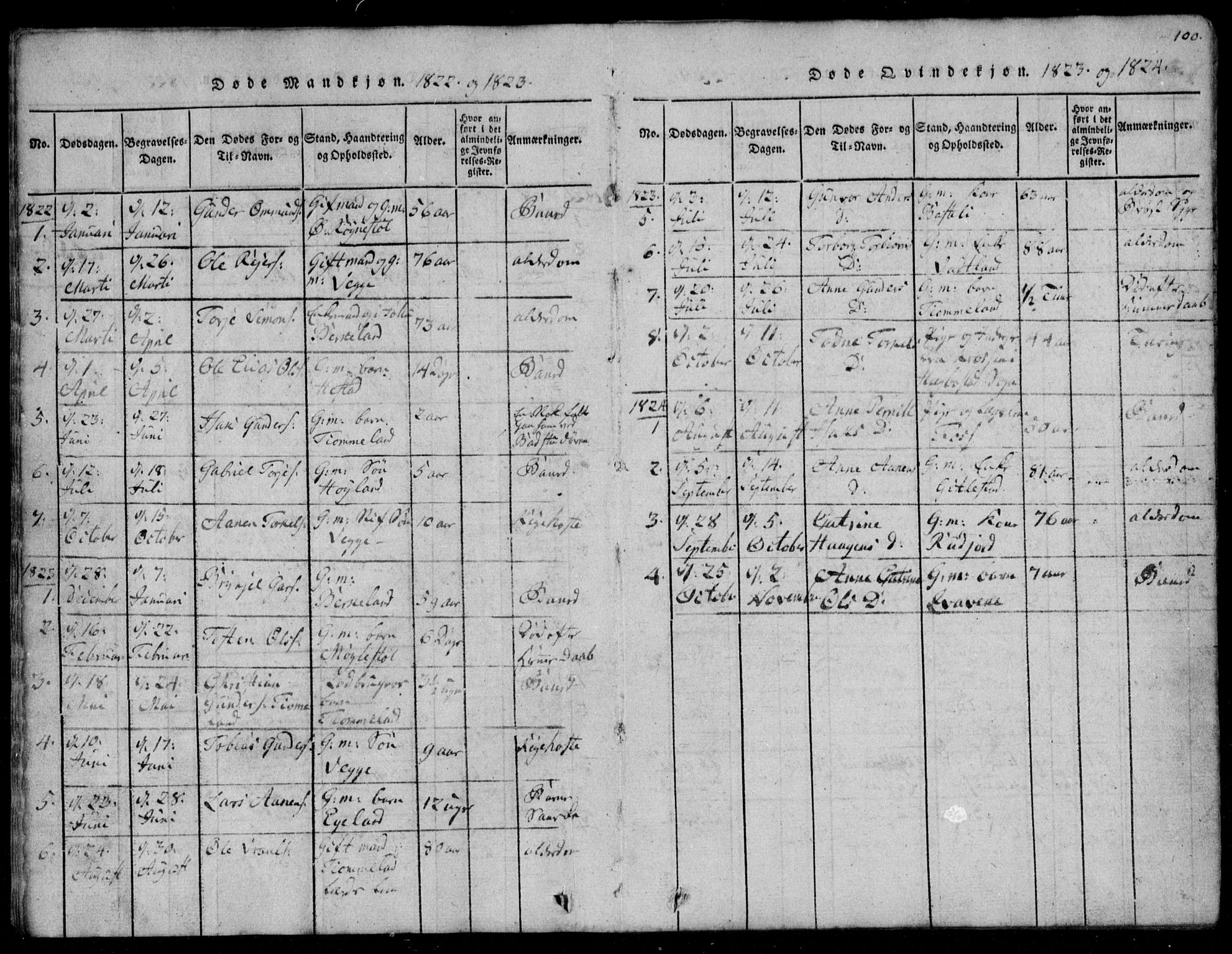 Lyngdal sokneprestkontor, AV/SAK-1111-0029/F/Fb/Fbb/L0001: Parish register (copy) no. B 1, 1816-1900, p. 100