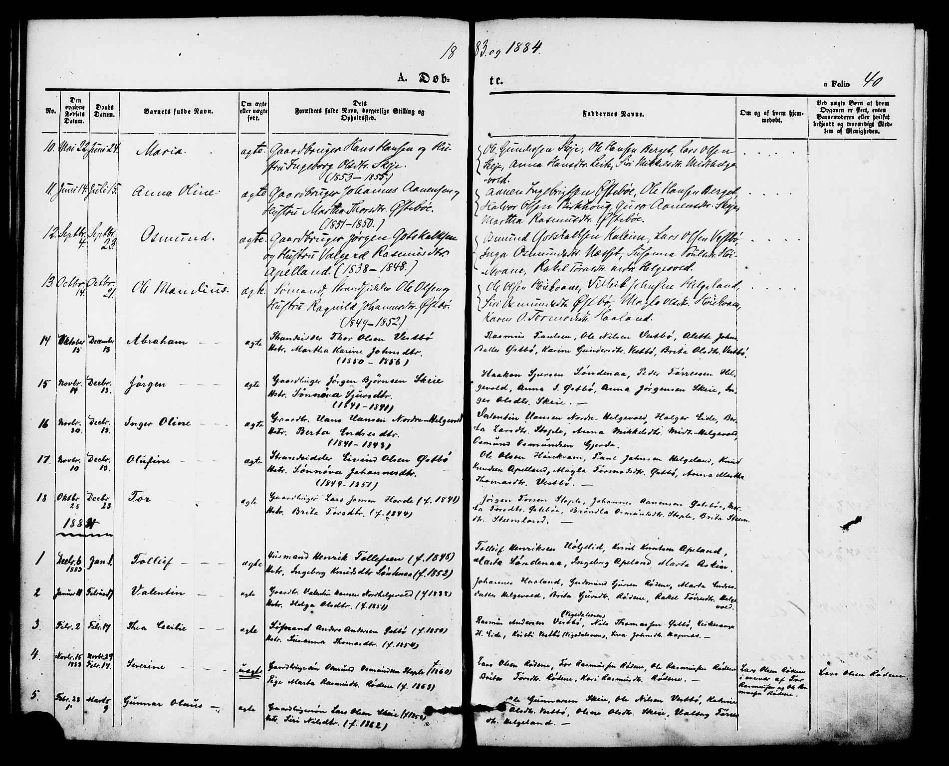 Vikedal sokneprestkontor, AV/SAST-A-101840/01/IV: Parish register (official) no. A 8, 1868-1885, p. 40