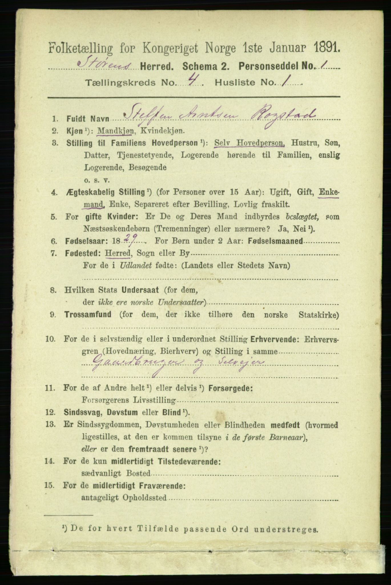 RA, 1891 census for 1648 Støren, 1891, p. 1291