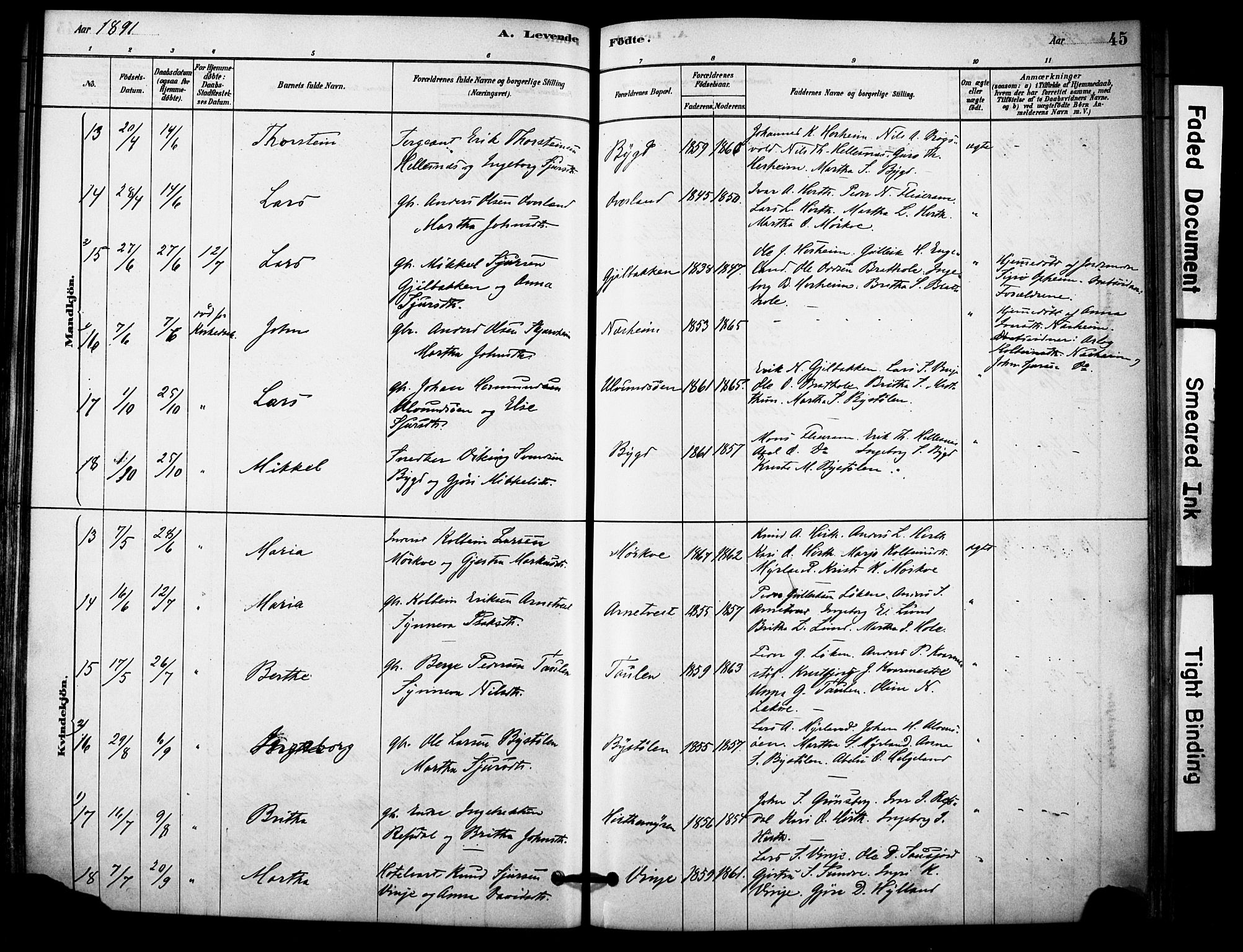 Vossestrand Sokneprestembete, AV/SAB-A-79101/H/Haa: Parish register (official) no. C 1, 1878-1903, p. 45