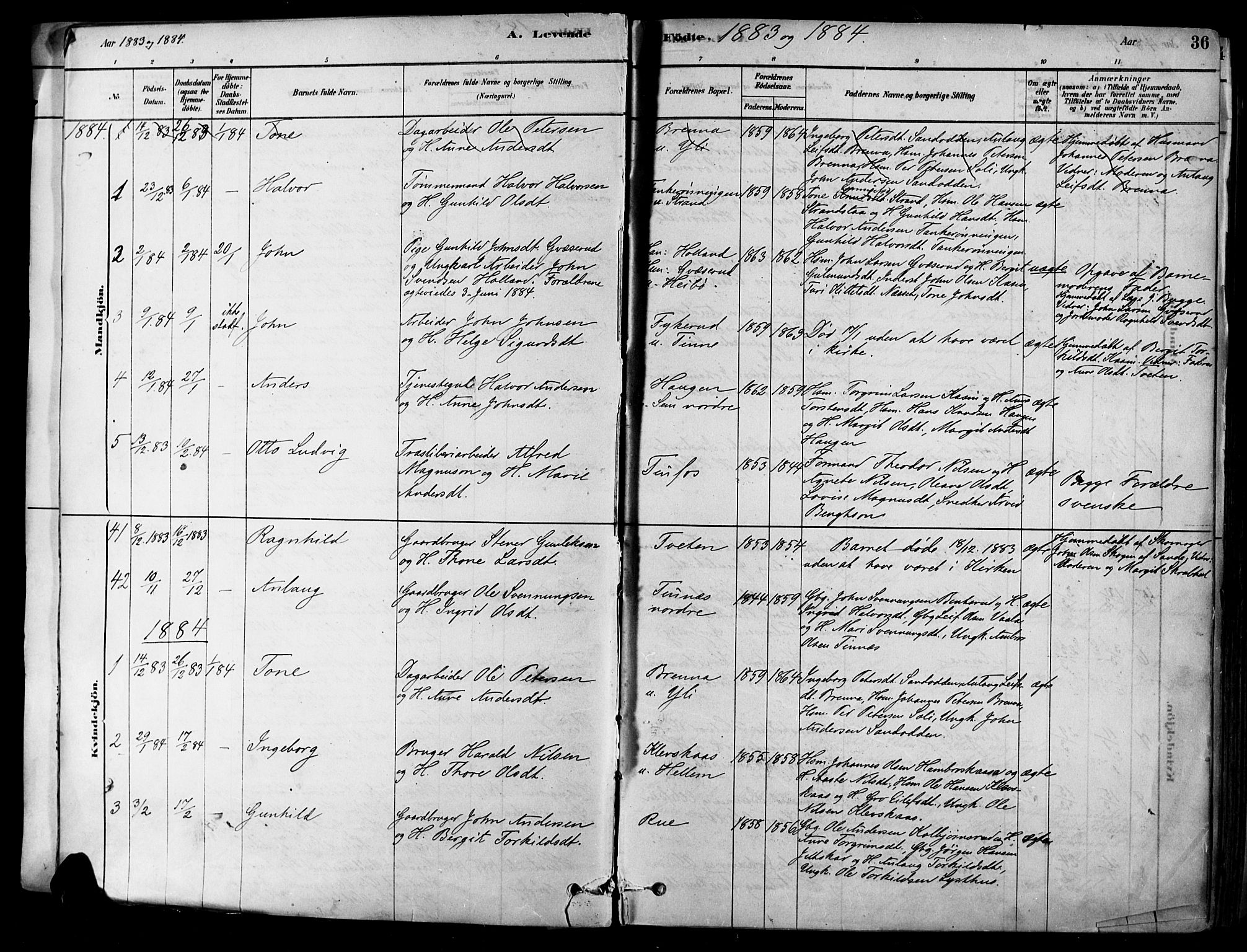 Heddal kirkebøker, SAKO/A-268/F/Fa/L0008: Parish register (official) no. I 8, 1878-1903, p. 36