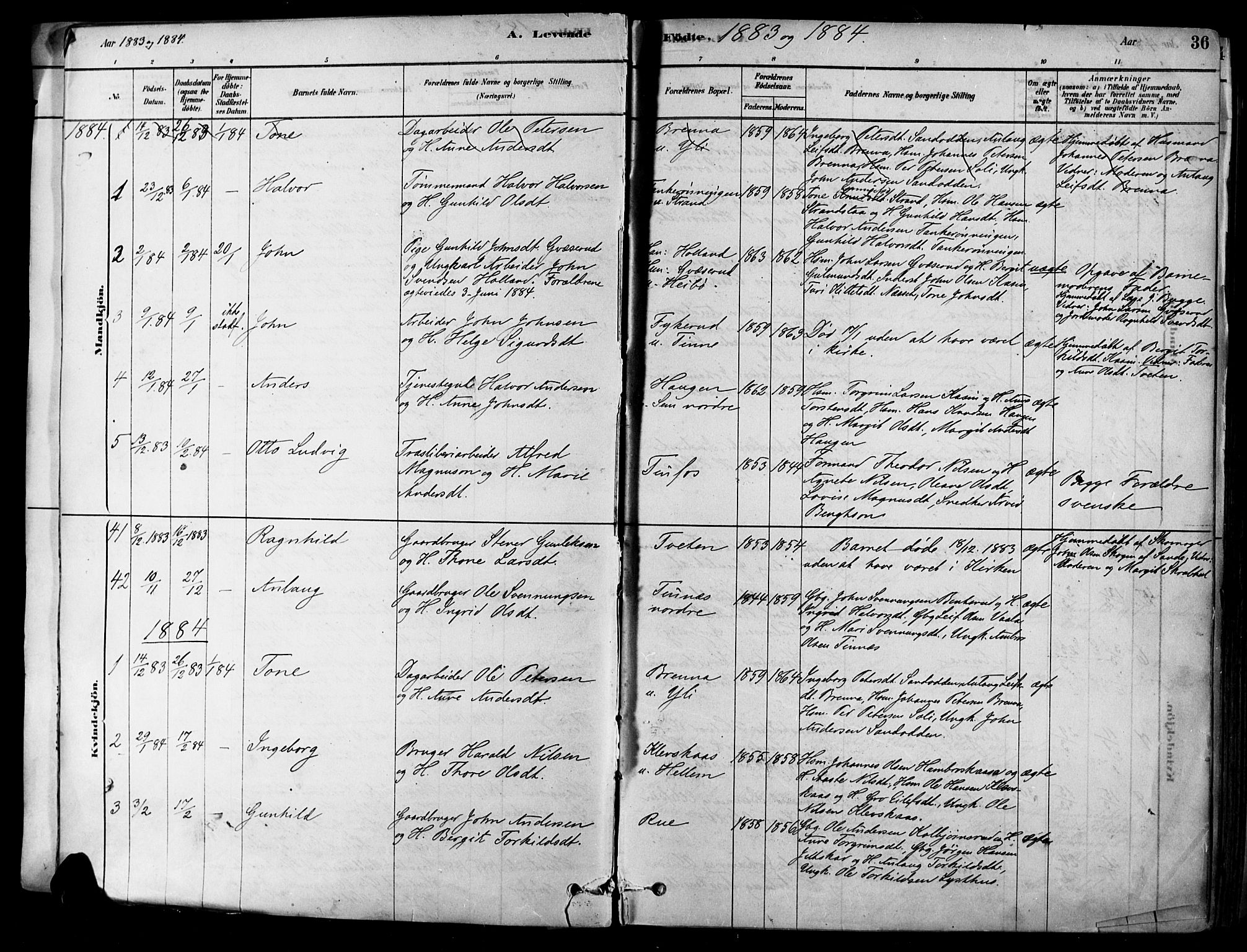 Heddal kirkebøker, AV/SAKO-A-268/F/Fa/L0008: Parish register (official) no. I 8, 1878-1903, p. 36