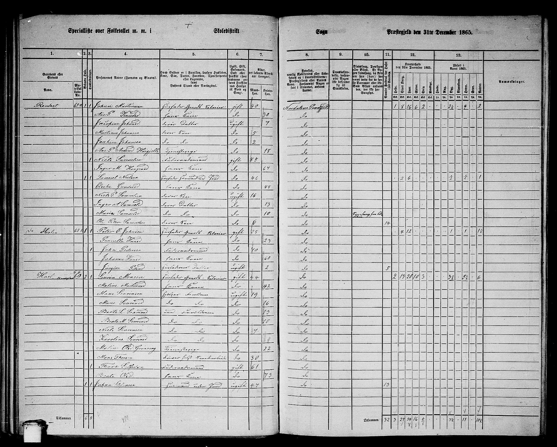 RA, 1865 census for Norddal, 1865, p. 43