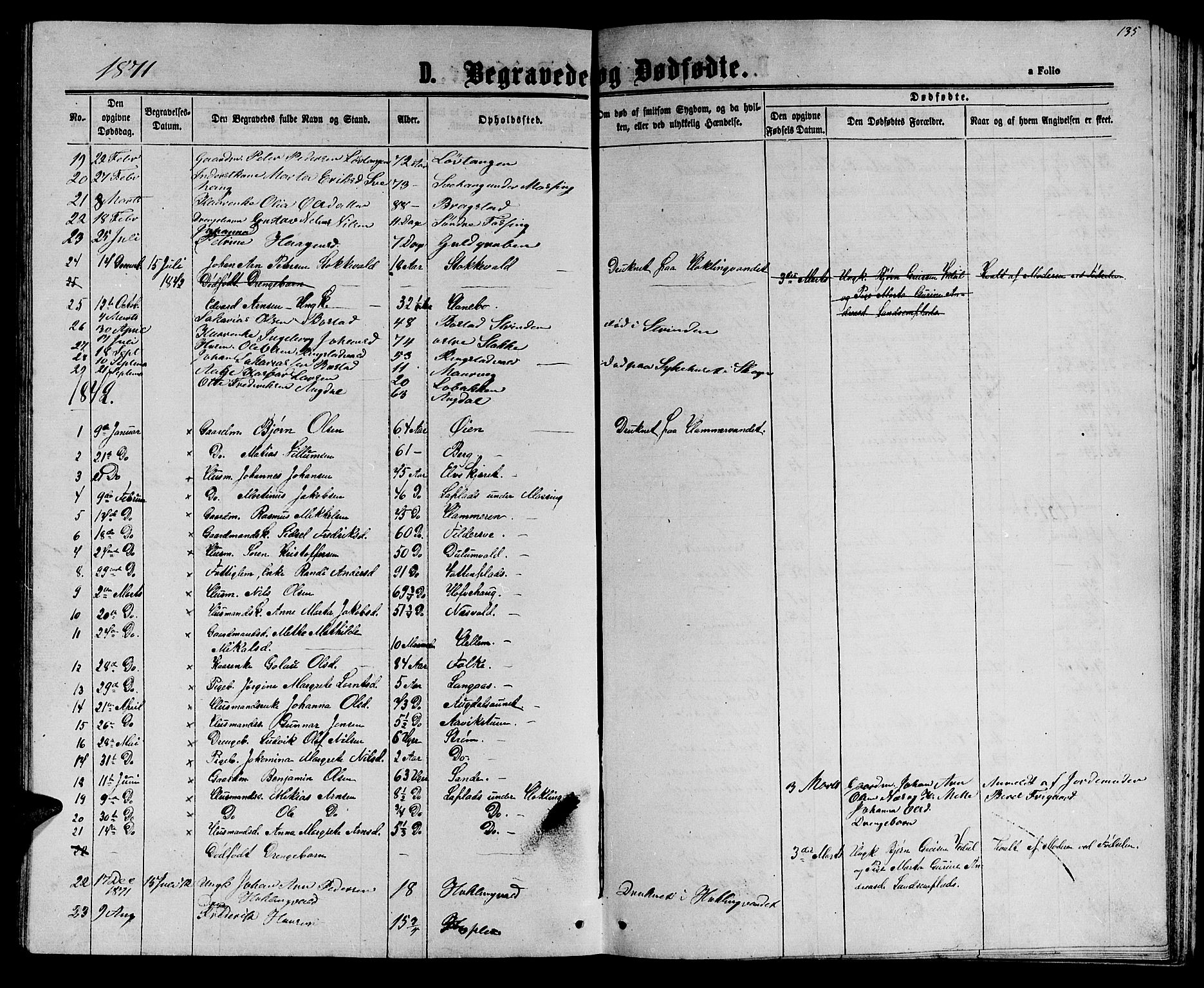 Ministerialprotokoller, klokkerbøker og fødselsregistre - Nord-Trøndelag, SAT/A-1458/714/L0133: Parish register (copy) no. 714C02, 1865-1877, p. 135