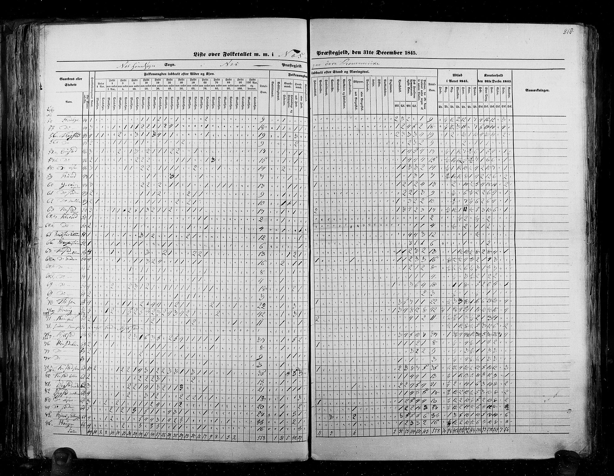 RA, Census 1845, vol. 2: Smålenenes amt og Akershus amt, 1845, p. 218