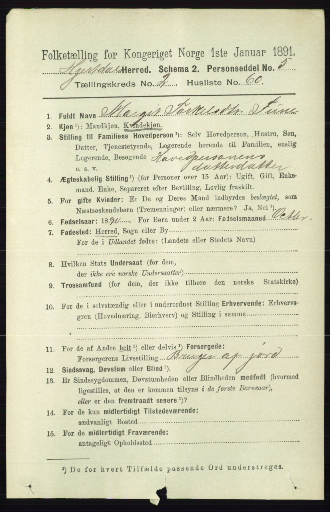 RA, 1891 census for 0827 Hjartdal, 1891, p. 972