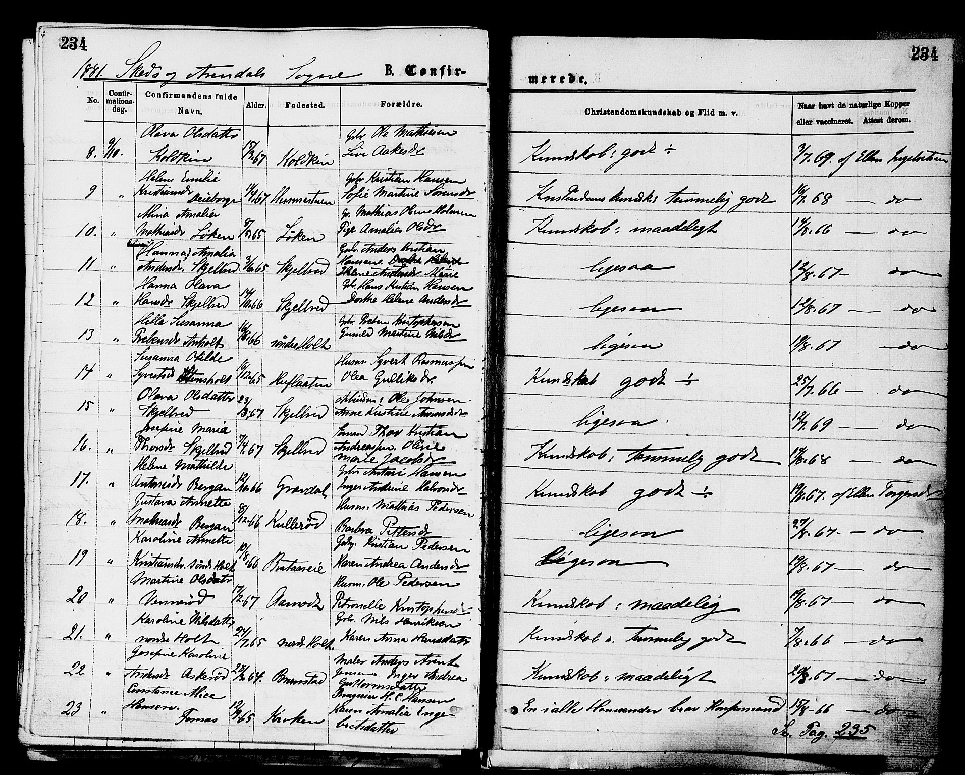 Stokke kirkebøker, AV/SAKO-A-320/F/Fa/L0009: Parish register (official) no. I 9, 1872-1883, p. 234