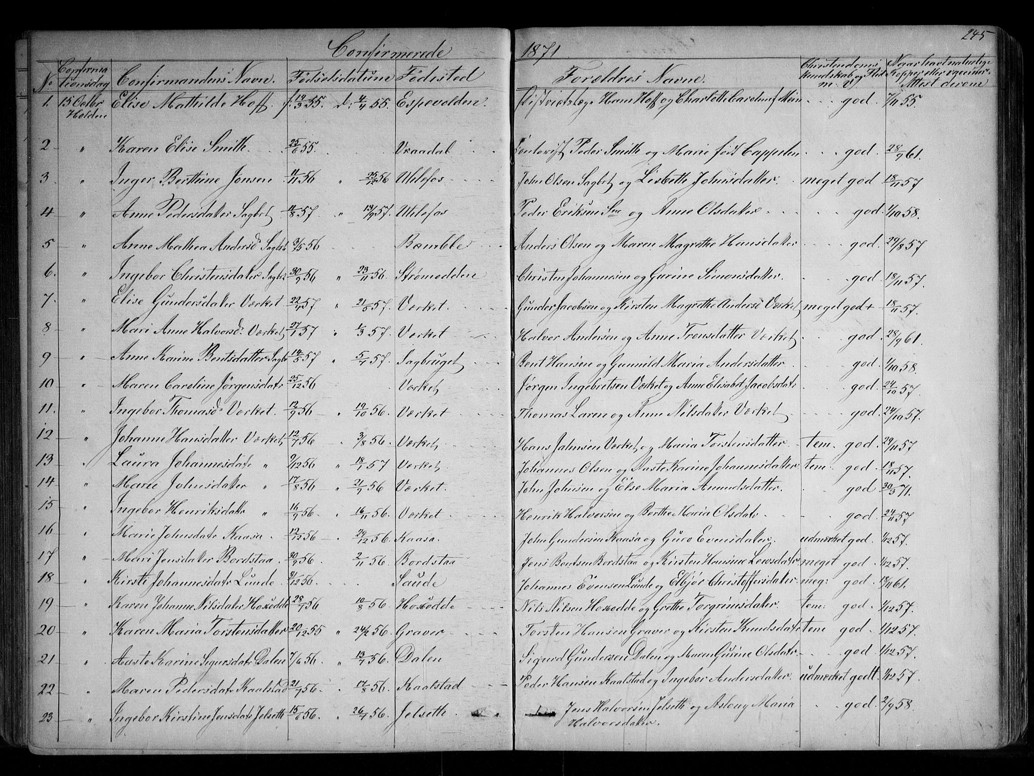 Holla kirkebøker, AV/SAKO-A-272/G/Ga/L0004: Parish register (copy) no. I 4, 1867-1890, p. 245