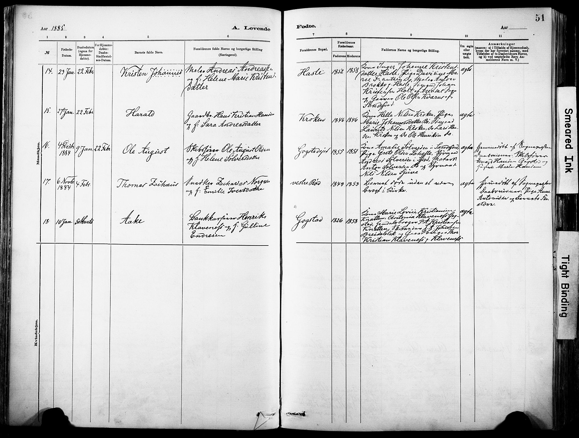 Sandar kirkebøker, SAKO/A-243/F/Fa/L0012: Parish register (official) no. 12, 1883-1895, p. 51