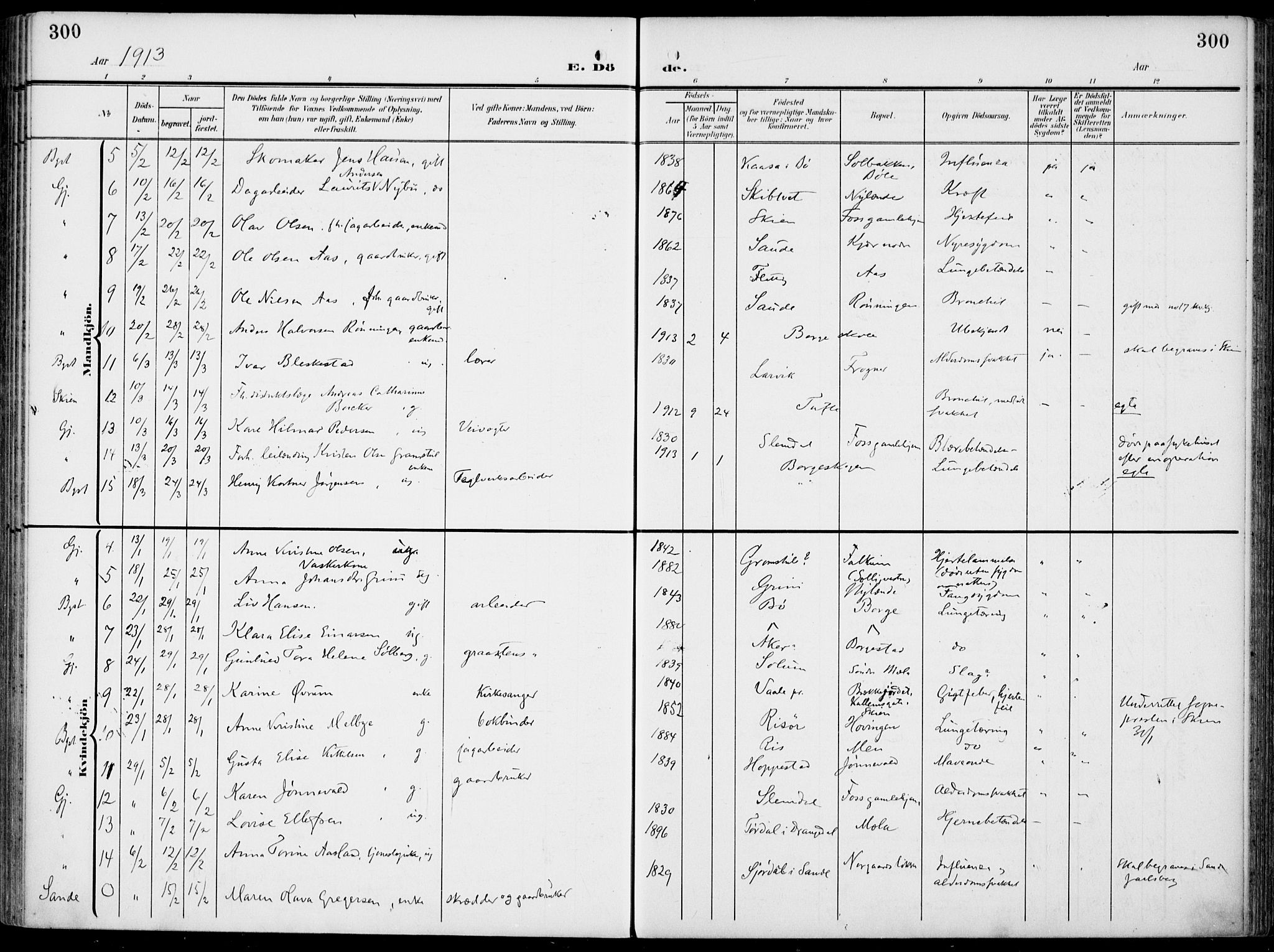 Gjerpen kirkebøker, SAKO/A-265/F/Fa/L0012: Parish register (official) no. I 12, 1905-1913, p. 300