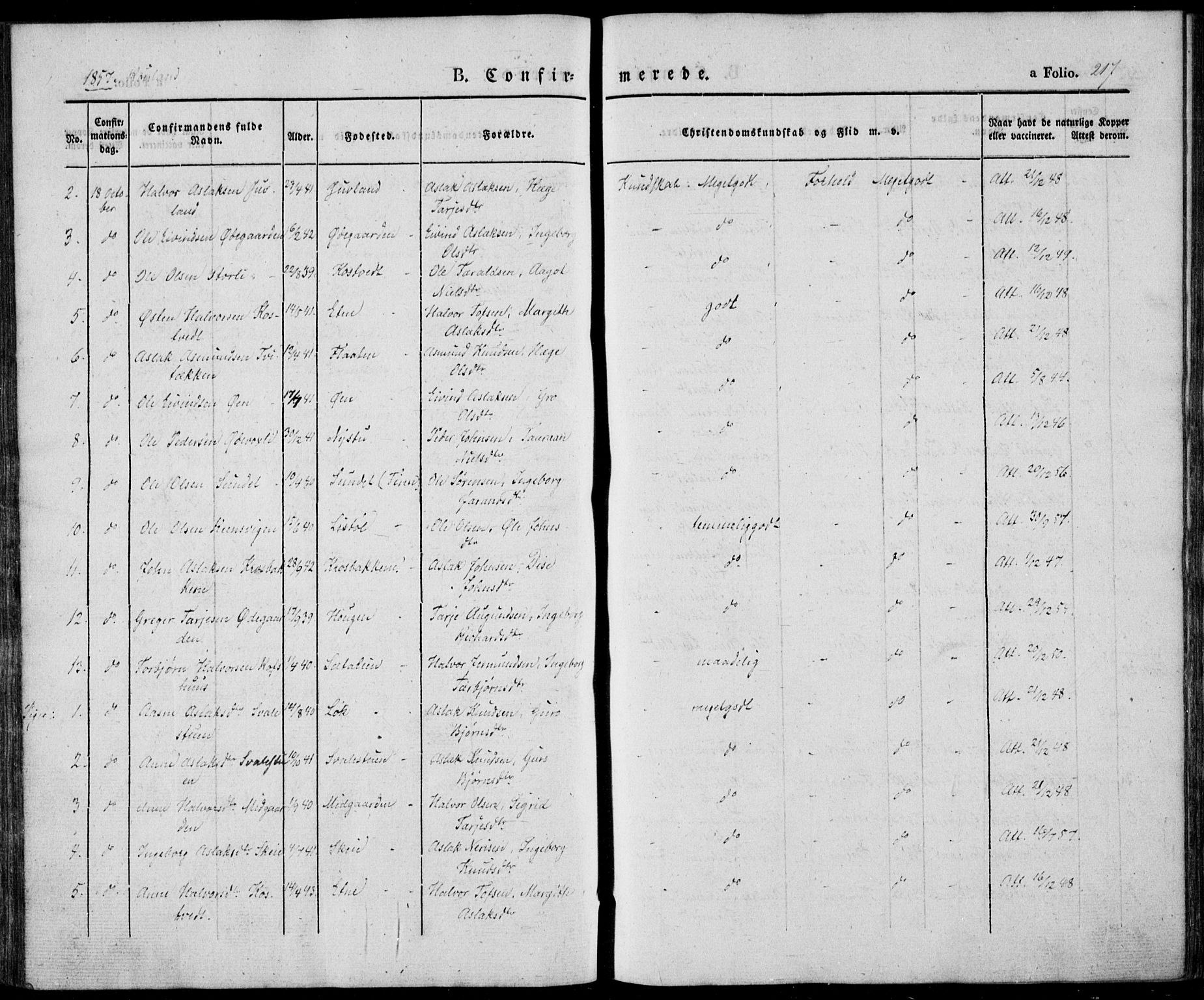 Vinje kirkebøker, SAKO/A-312/F/Fa/L0004: Parish register (official) no. I 4, 1843-1869, p. 217