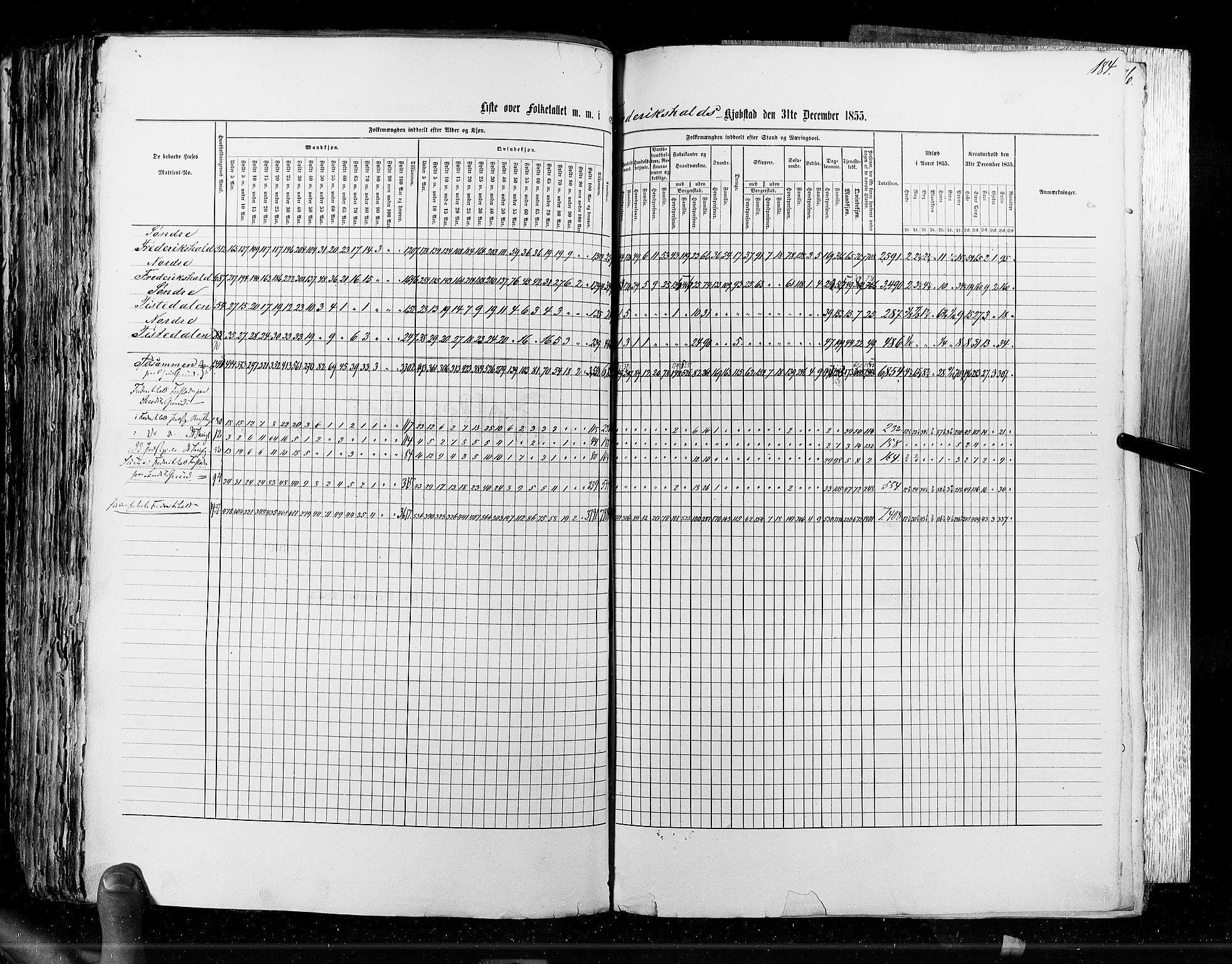 RA, Census 1855, vol. 7: Fredrikshald-Kragerø, 1855, p. 184