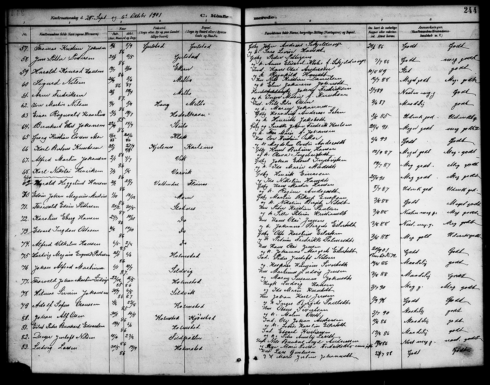 Ministerialprotokoller, klokkerbøker og fødselsregistre - Nordland, AV/SAT-A-1459/888/L1268: Parish register (copy) no. 888C06, 1891-1908, p. 244