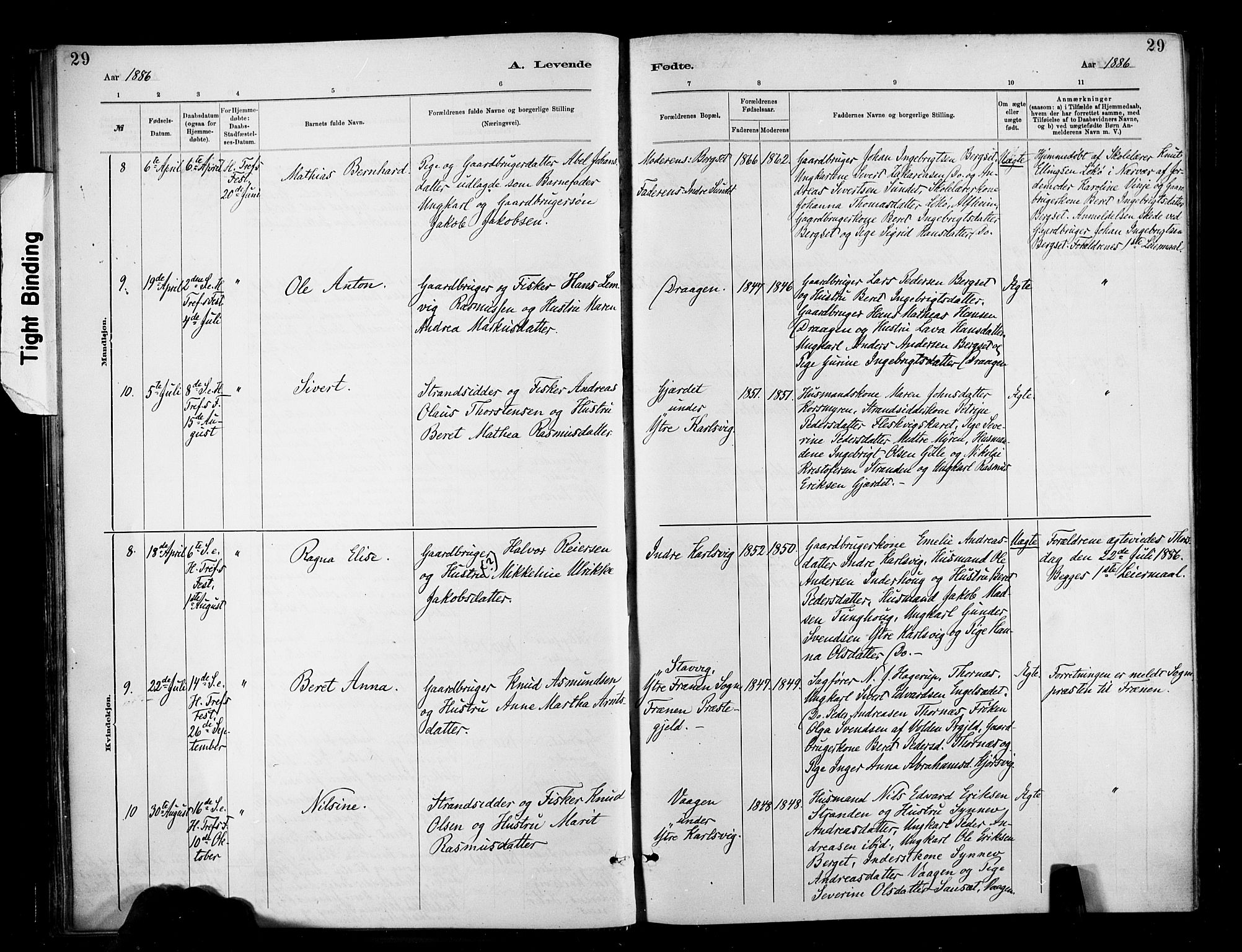 Ministerialprotokoller, klokkerbøker og fødselsregistre - Møre og Romsdal, SAT/A-1454/566/L0769: Parish register (official) no. 566A08, 1881-1903, p. 29