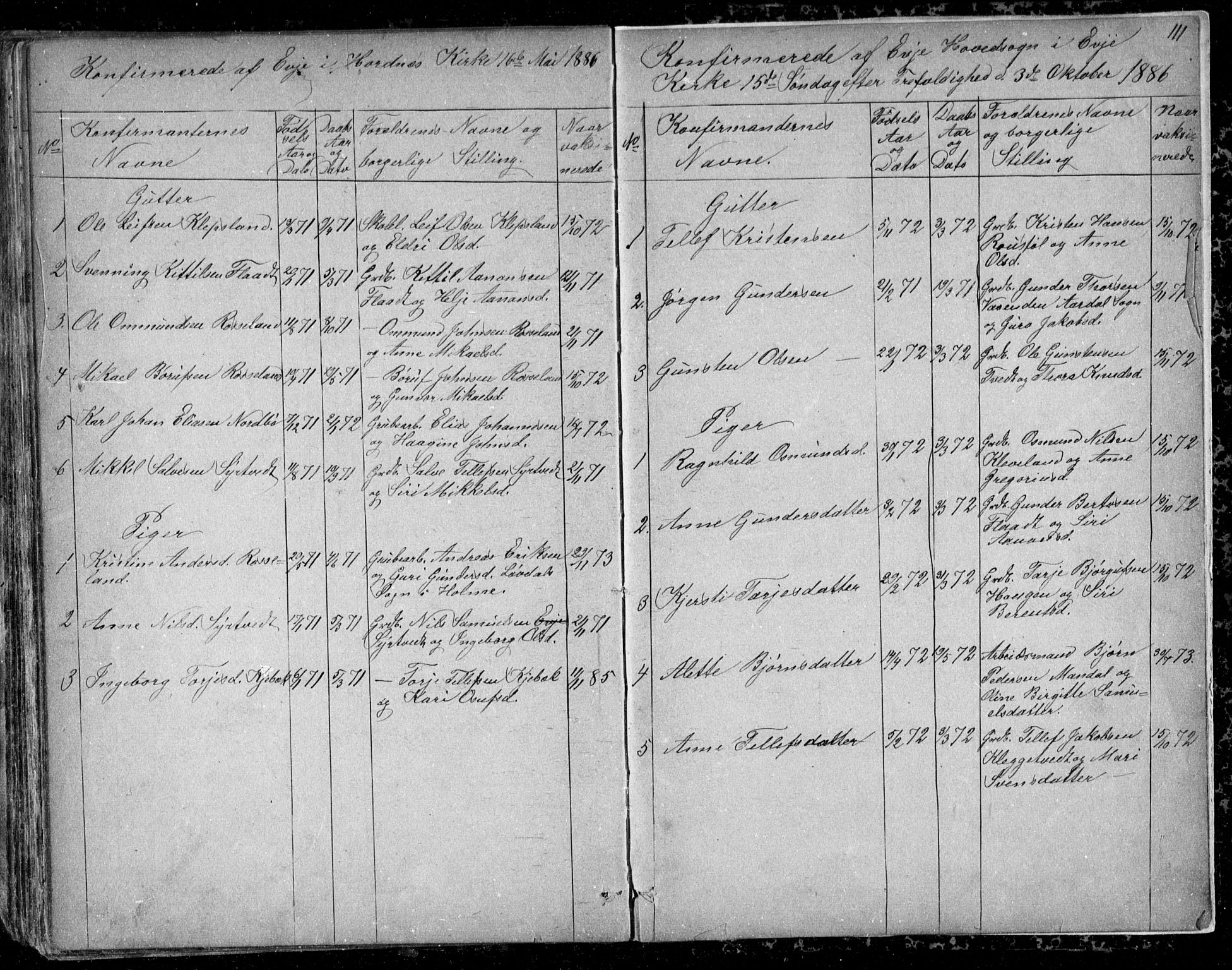 Evje sokneprestkontor, AV/SAK-1111-0008/F/Fb/Fba/L0002: Parish register (copy) no. B 2, 1849-1896, p. 111