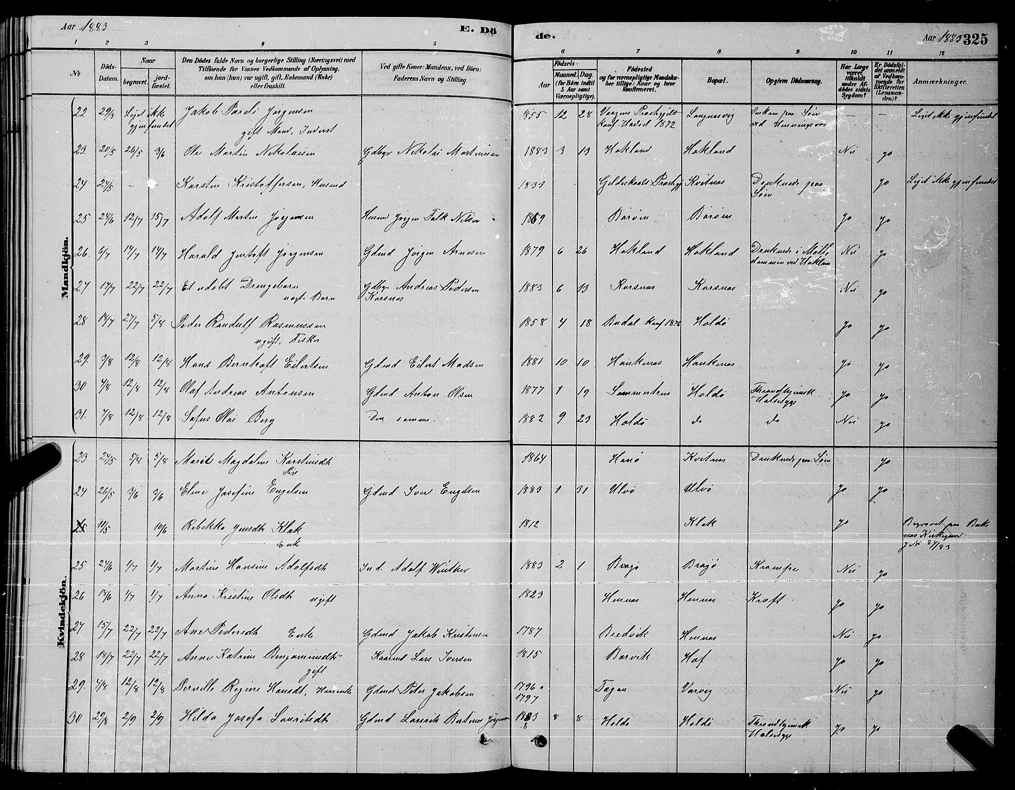 Ministerialprotokoller, klokkerbøker og fødselsregistre - Nordland, AV/SAT-A-1459/888/L1267: Parish register (copy) no. 888C05, 1878-1890, p. 325