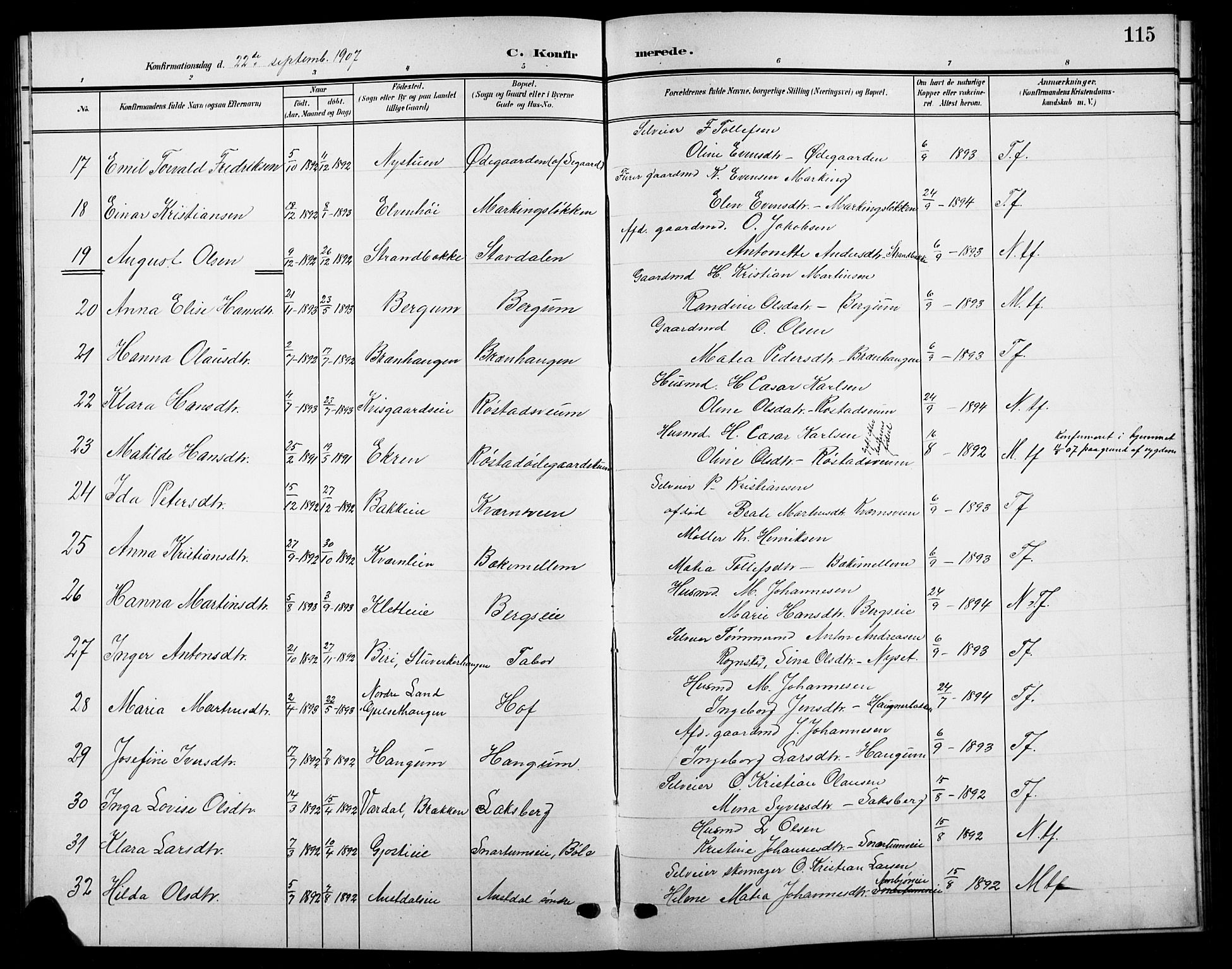 Biri prestekontor, SAH/PREST-096/H/Ha/Hab/L0005: Parish register (copy) no. 5, 1906-1919, p. 115