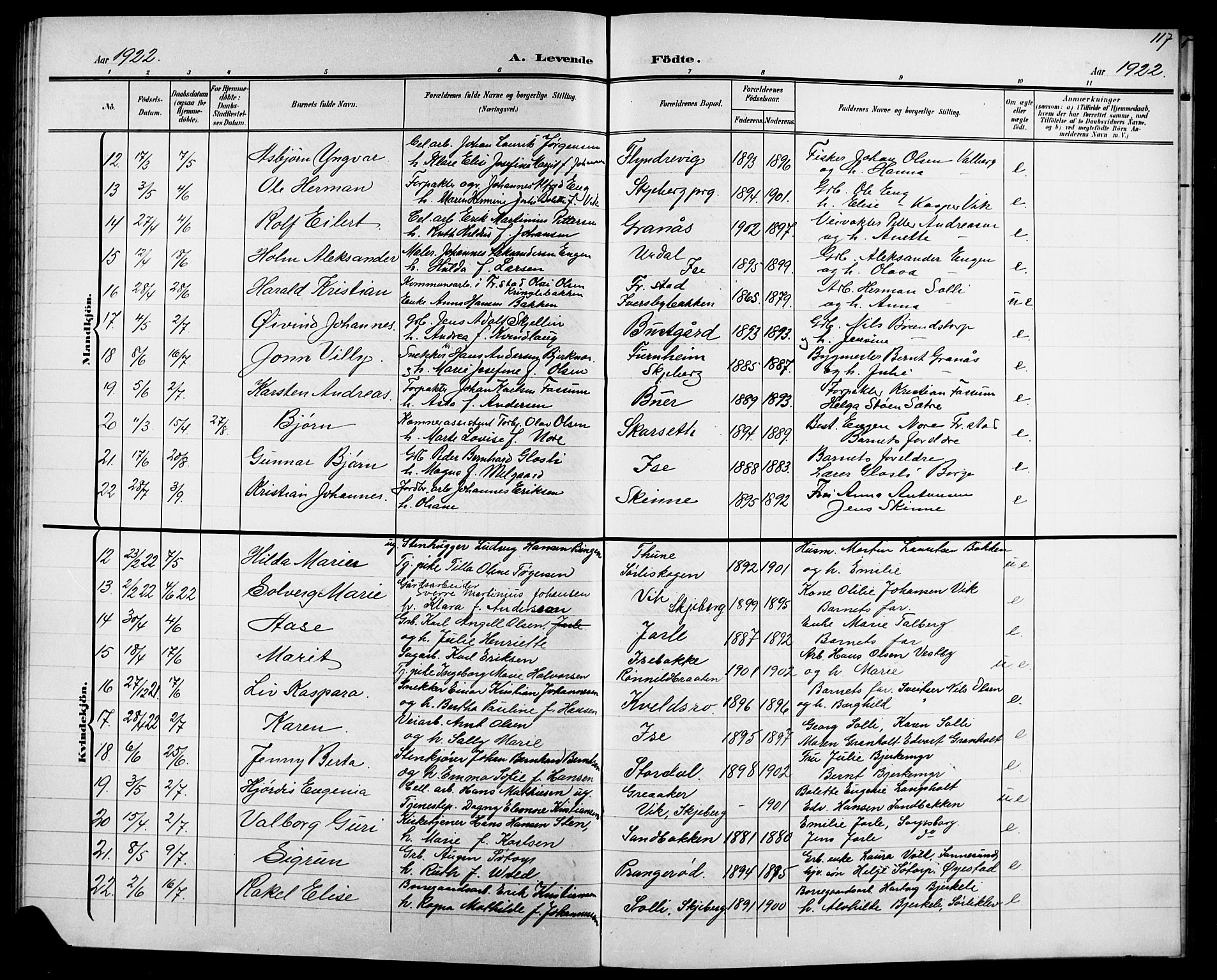 Skjeberg prestekontor Kirkebøker, SAO/A-10923/G/Ga/L0002: Parish register (copy) no. I 2, 1901-1924, p. 117