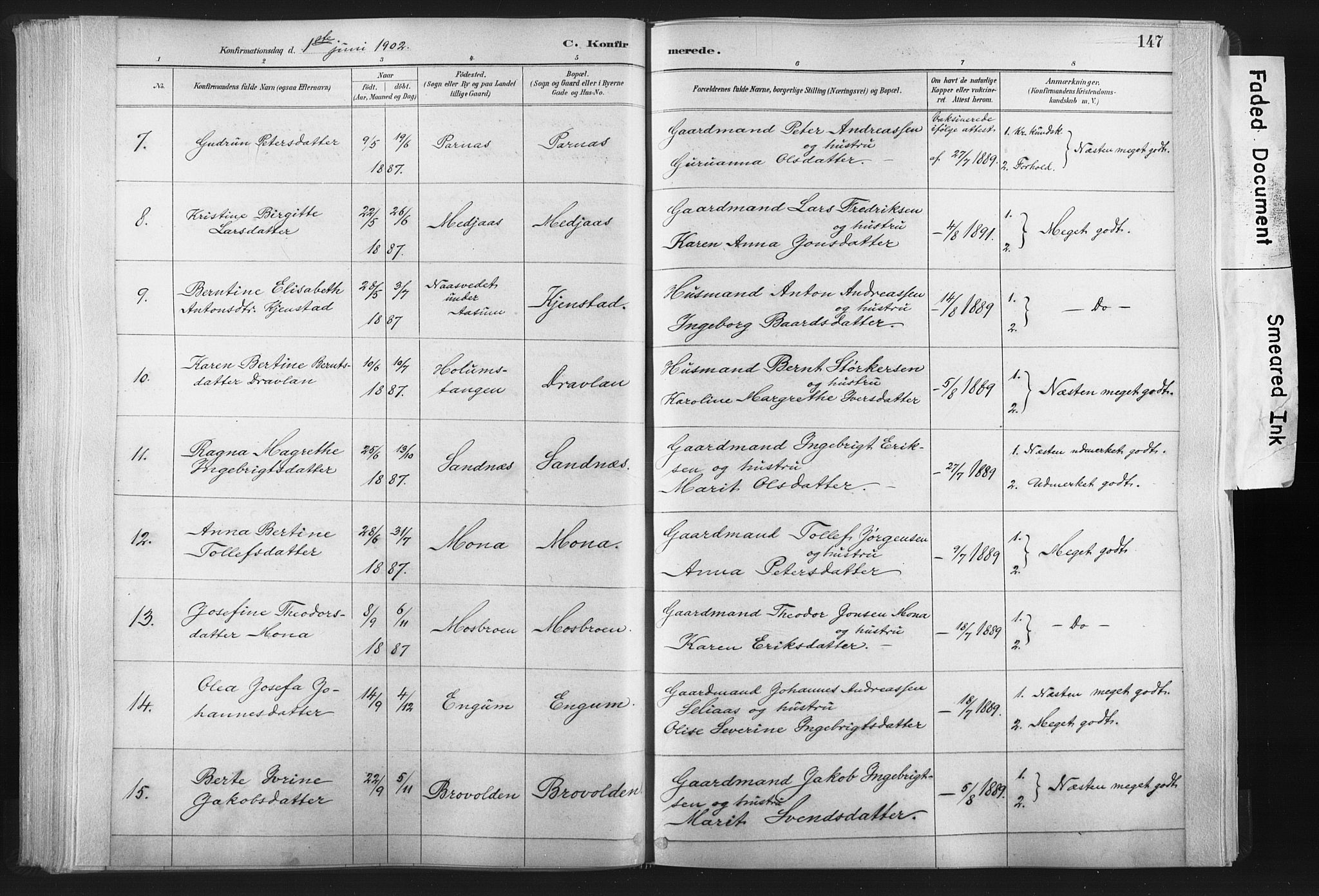 Ministerialprotokoller, klokkerbøker og fødselsregistre - Nord-Trøndelag, AV/SAT-A-1458/749/L0474: Parish register (official) no. 749A08, 1887-1903, p. 147