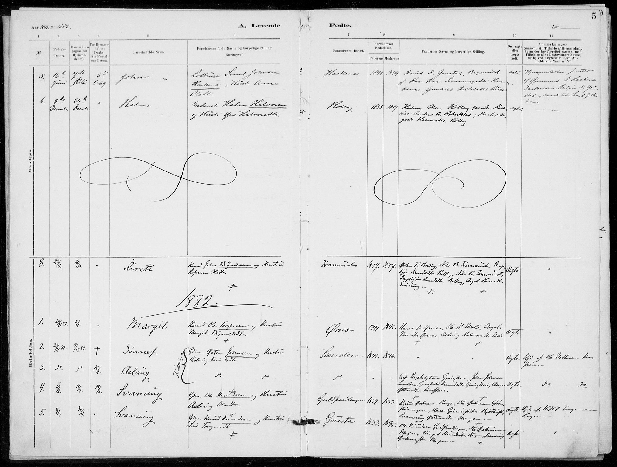 Tinn kirkebøker, AV/SAKO-A-308/F/Fb/L0002: Parish register (official) no. II 2, 1878-1917, p. 5