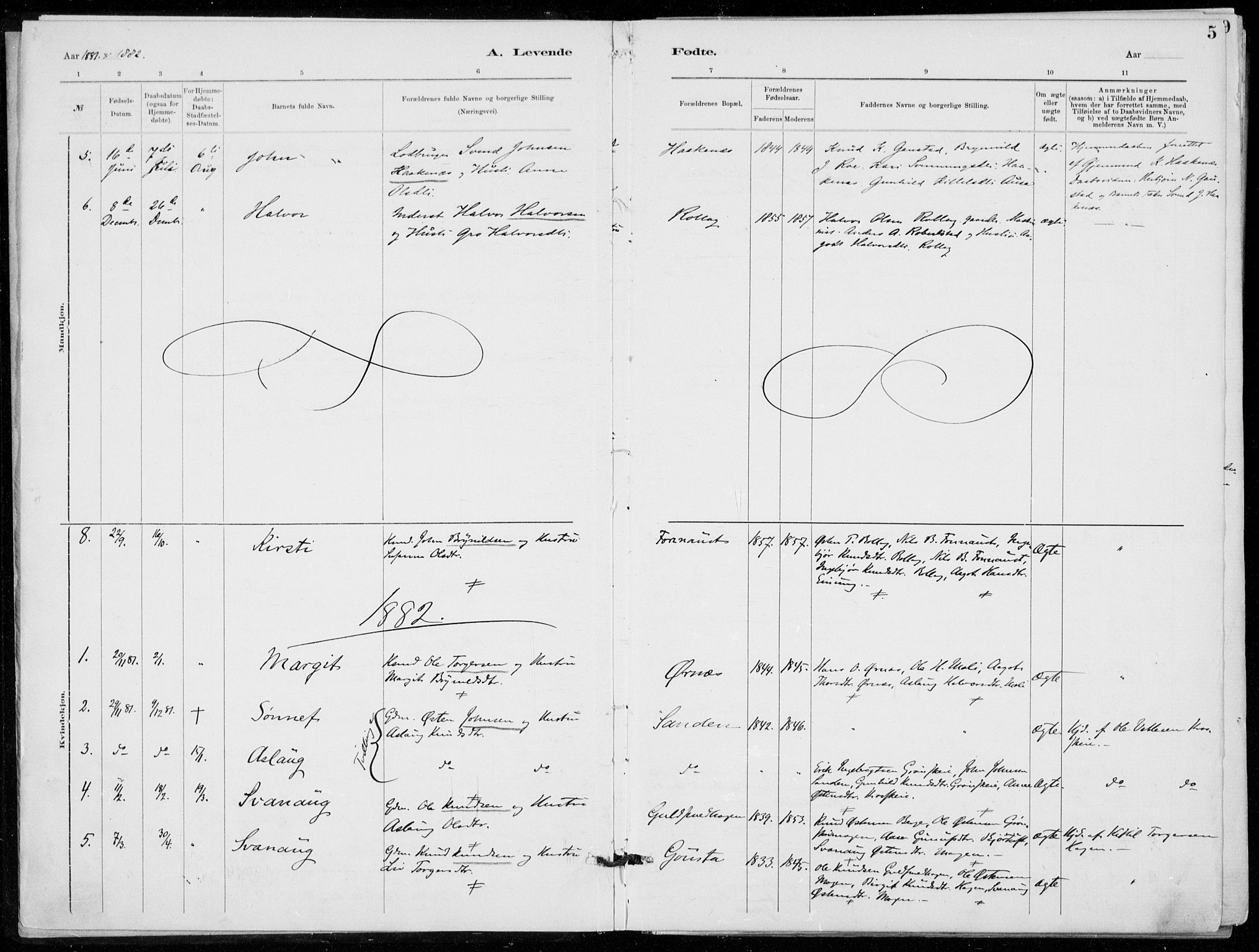 Tinn kirkebøker, AV/SAKO-A-308/F/Fb/L0002: Parish register (official) no. II 2, 1878-1917, p. 5