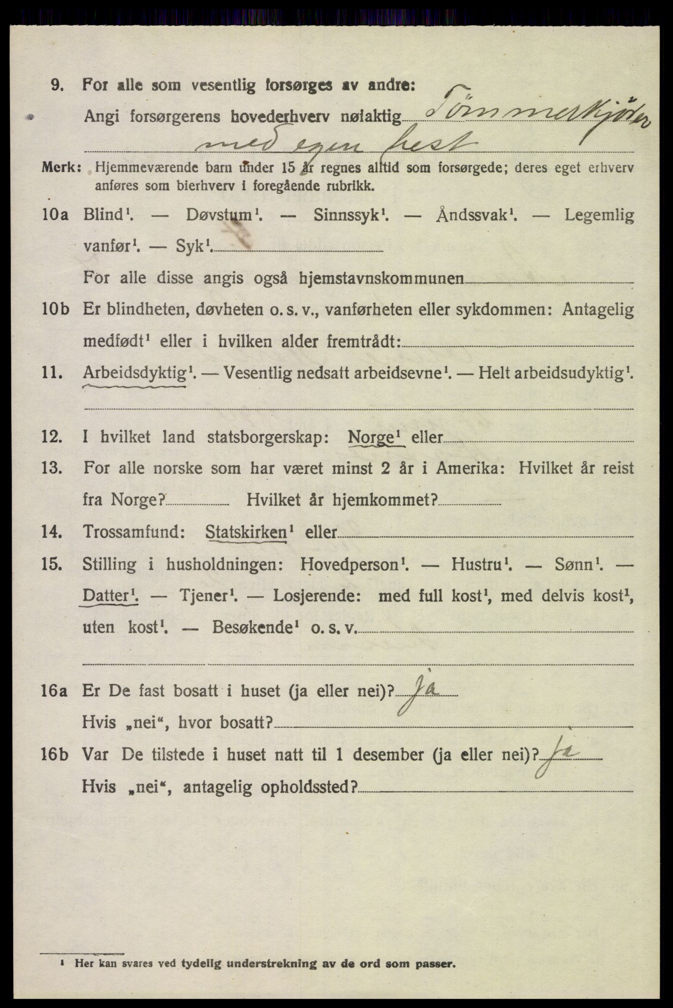 SAH, 1920 census for Åsnes, 1920, p. 8543