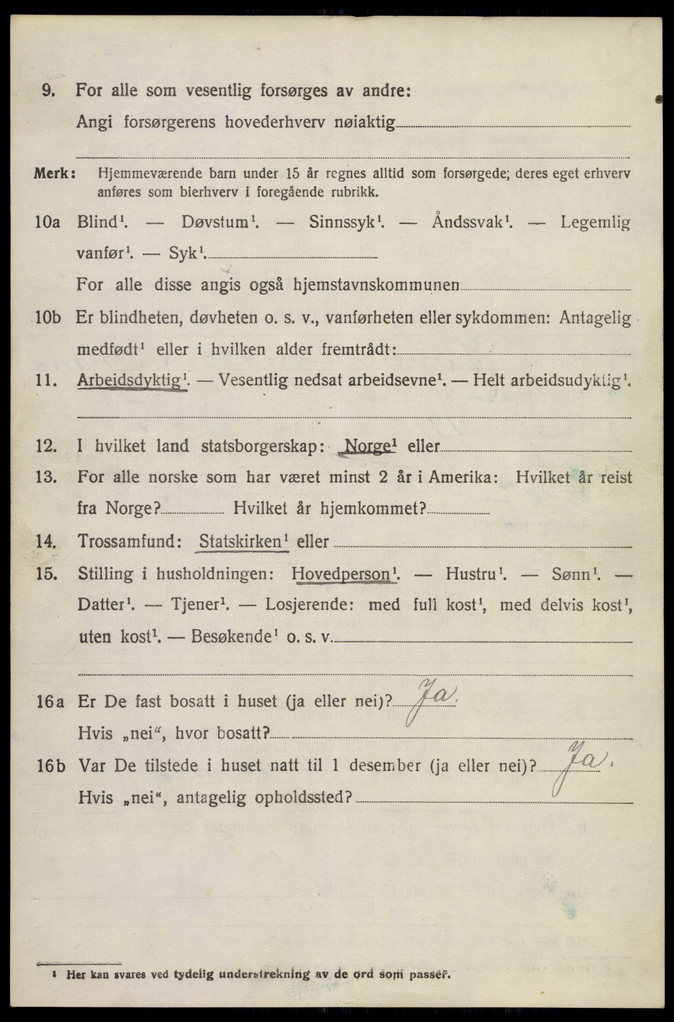 SAKO, 1920 census for Brunlanes, 1920, p. 4494