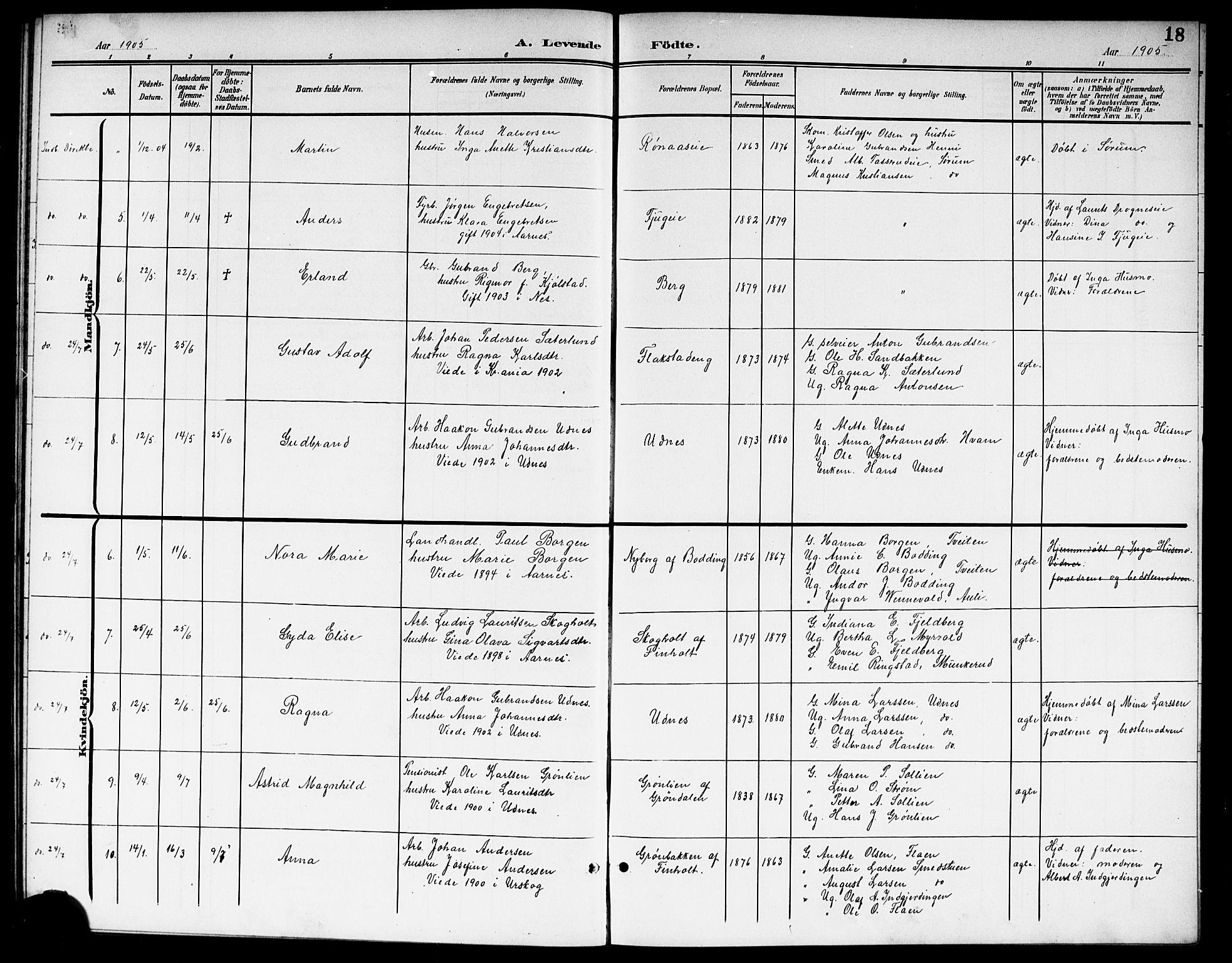 Nes prestekontor Kirkebøker, AV/SAO-A-10410/G/Gb/L0001: Parish register (copy) no. II 1, 1901-1917, p. 18