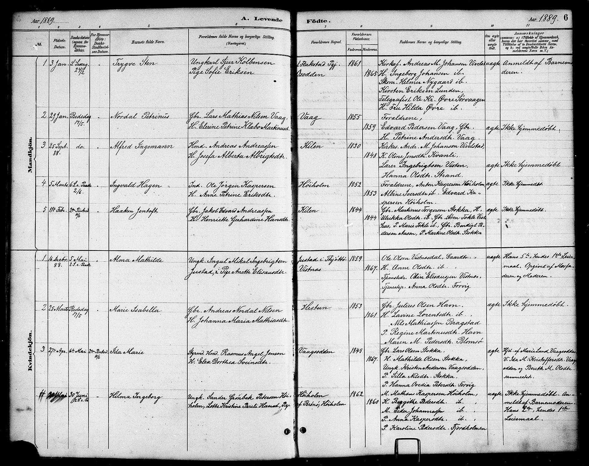 Ministerialprotokoller, klokkerbøker og fødselsregistre - Nordland, AV/SAT-A-1459/819/L0277: Parish register (copy) no. 819C03, 1888-1917, p. 6