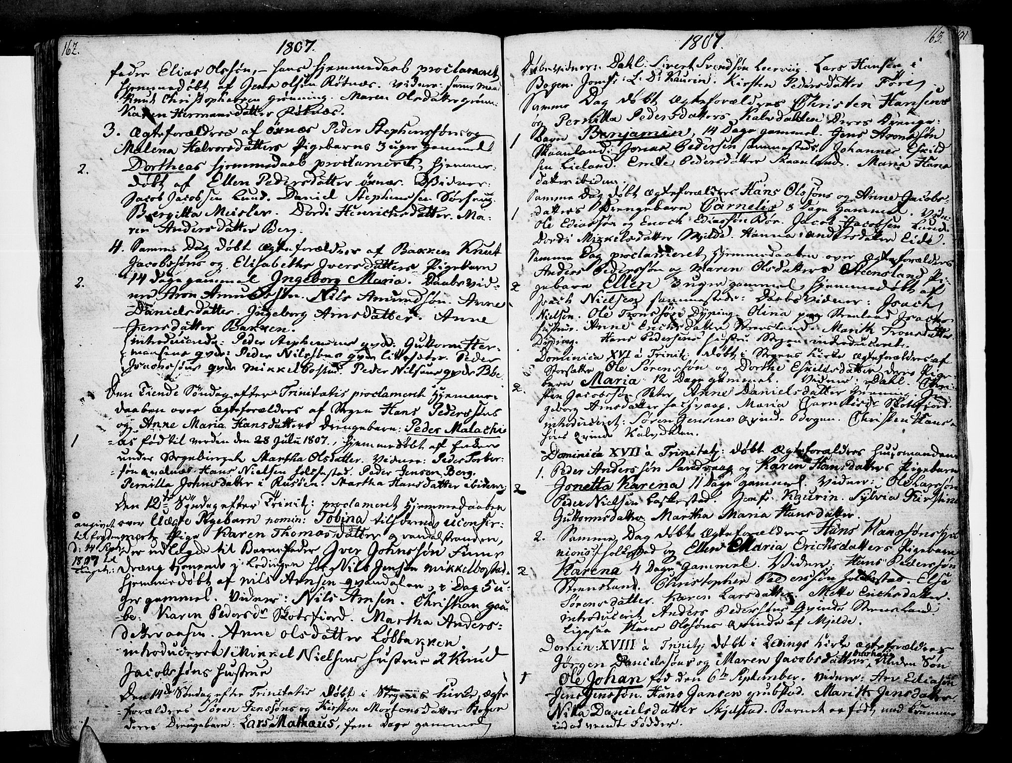 Ministerialprotokoller, klokkerbøker og fødselsregistre - Nordland, AV/SAT-A-1459/855/L0797: Parish register (official) no. 855A05, 1800-1820, p. 162-163