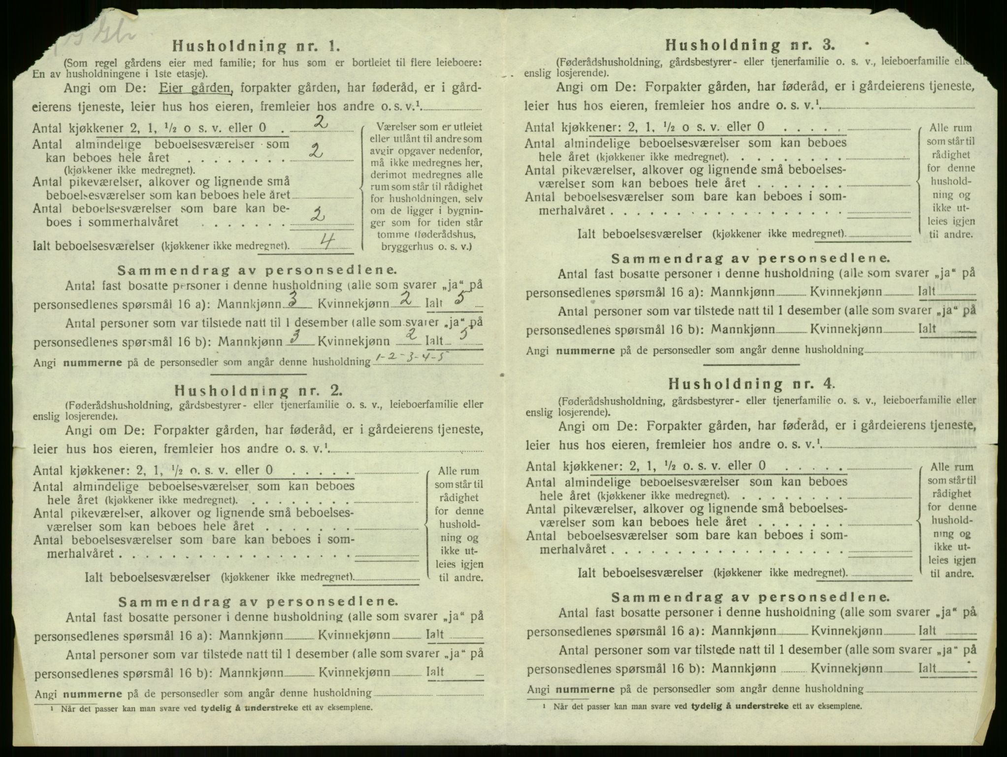 SAKO, 1920 census for Våle, 1920, p. 1003