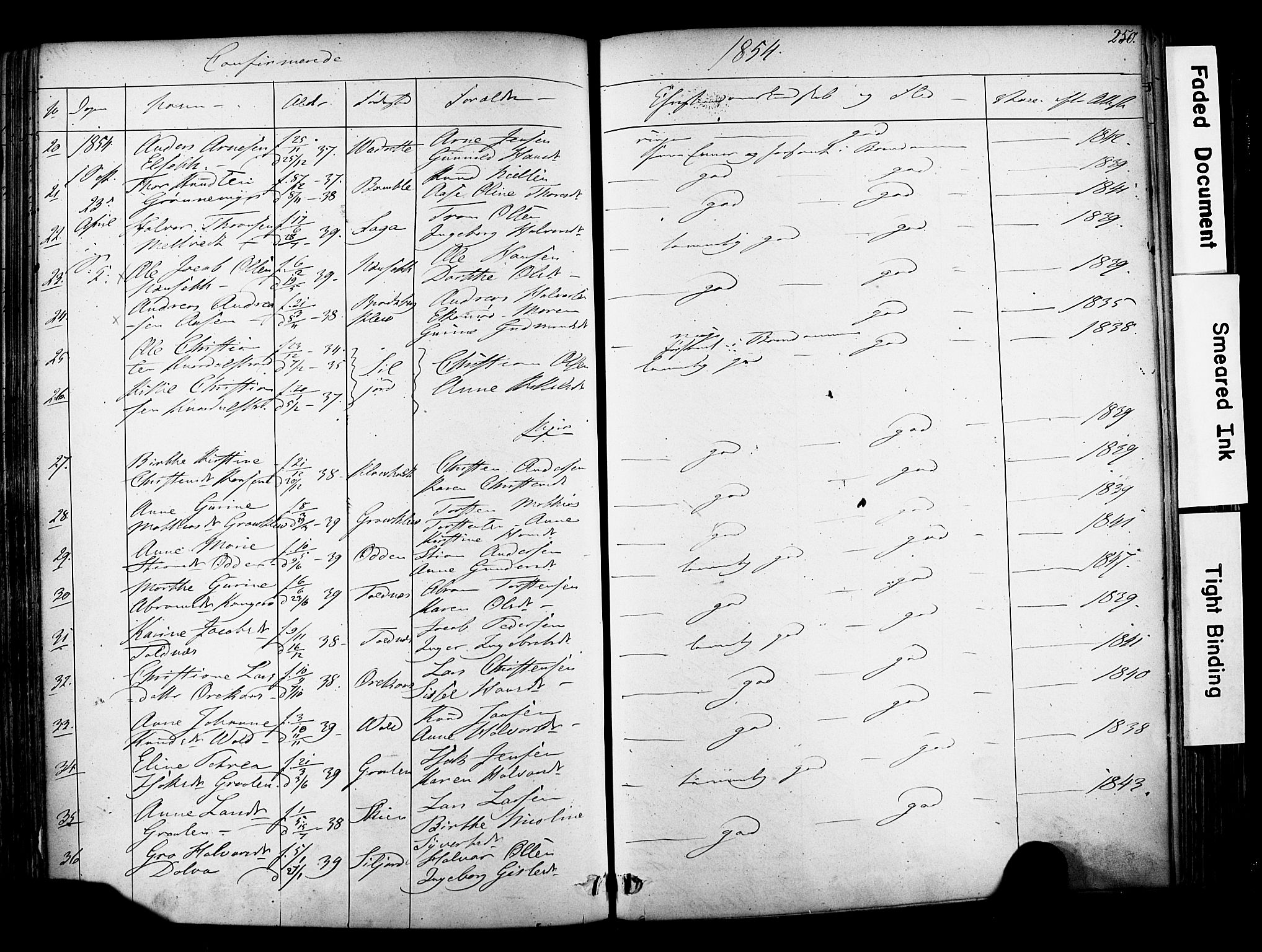 Solum kirkebøker, SAKO/A-306/F/Fa/L0006: Parish register (official) no. I 6, 1844-1855, p. 250