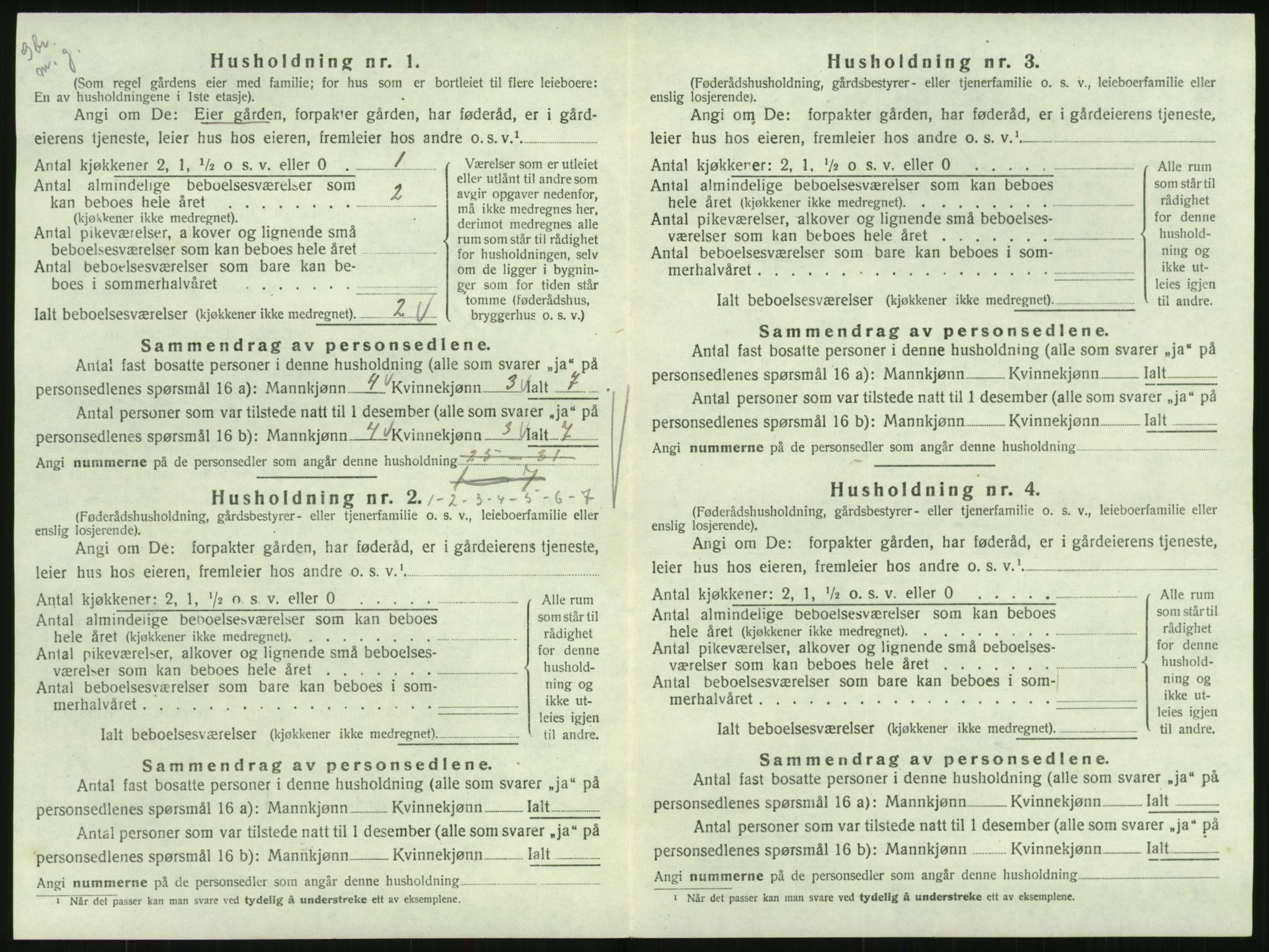 SAK, 1920 census for Hornnes, 1920, p. 102