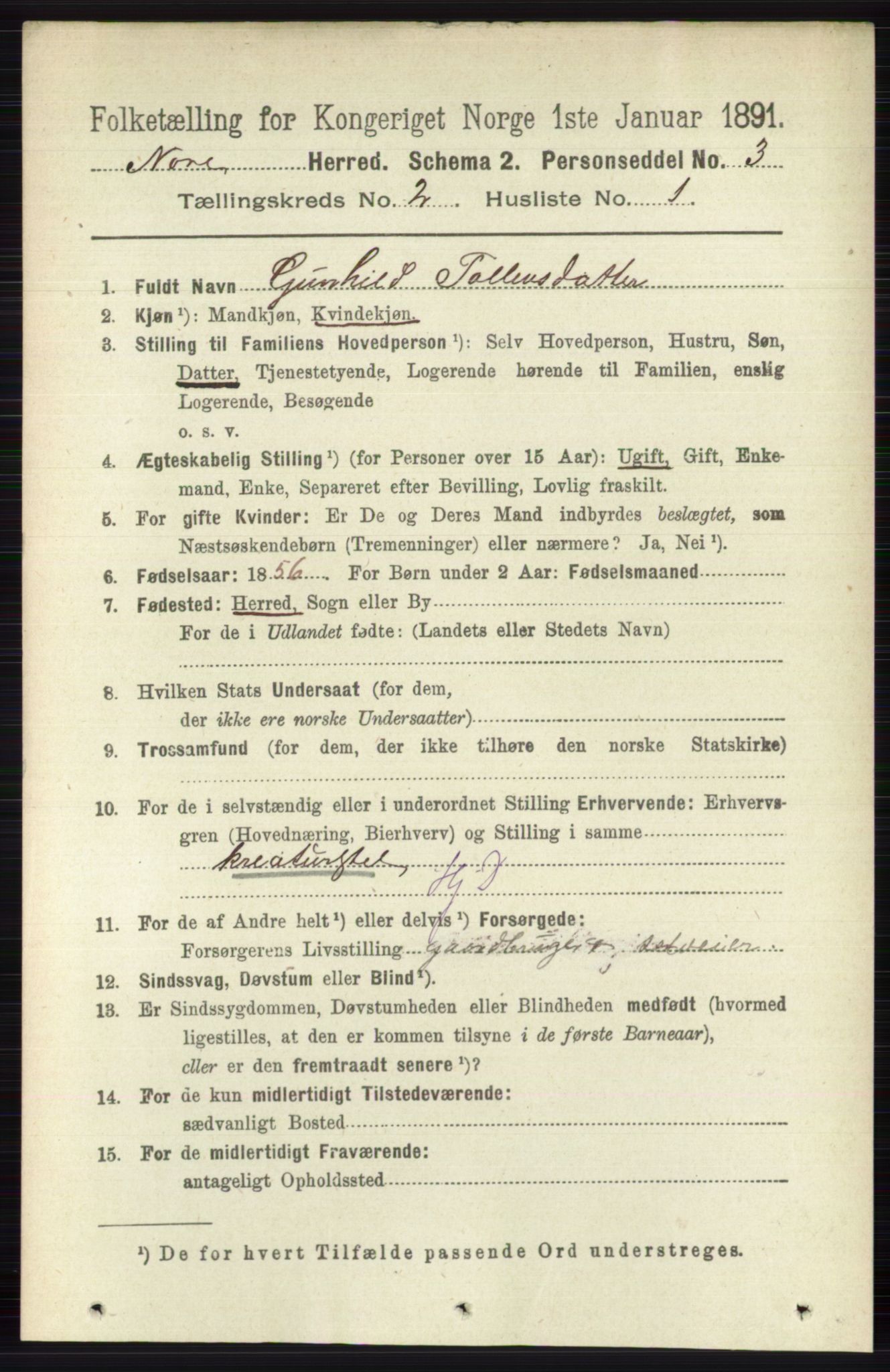 RA, 1891 census for 0633 Nore, 1891, p. 253