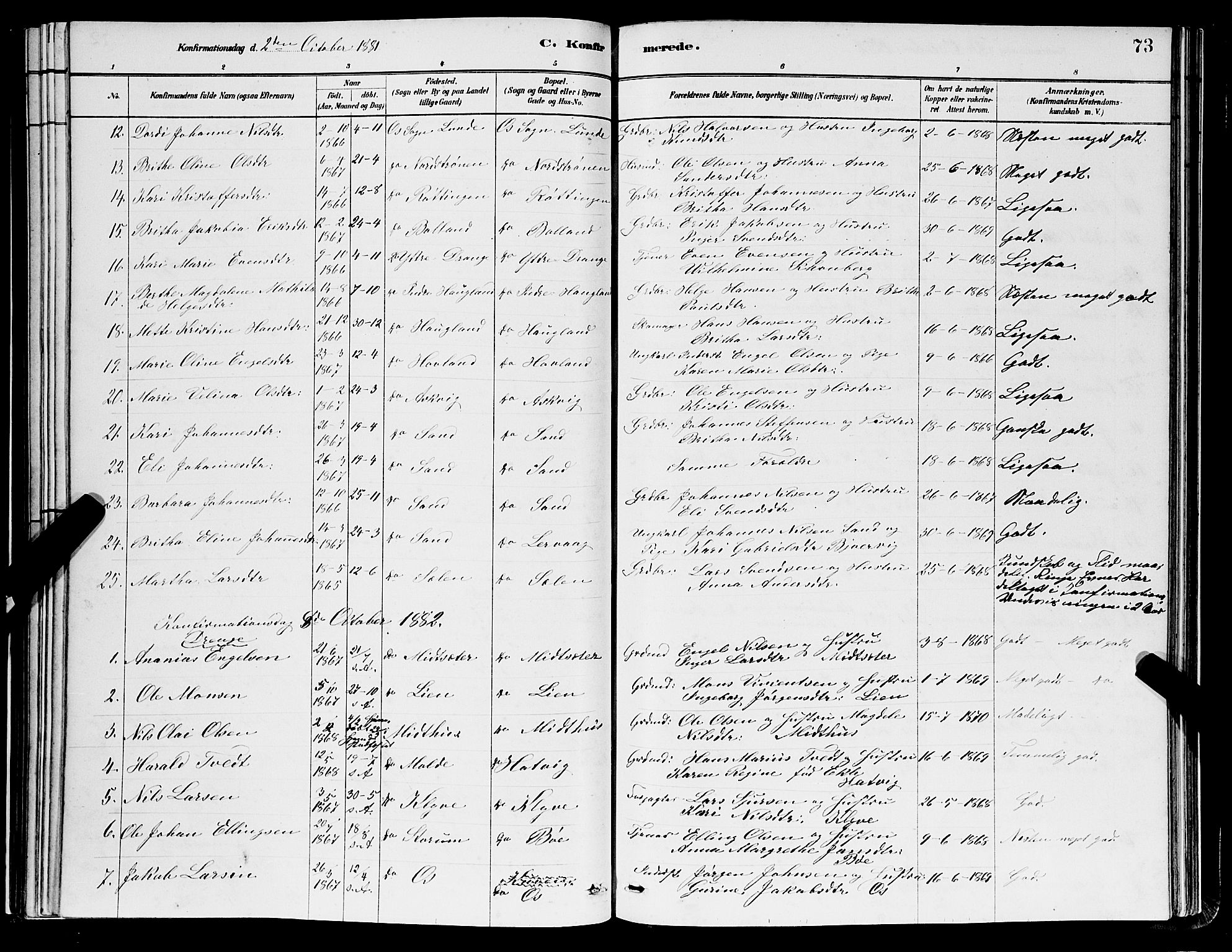 Os sokneprestembete, AV/SAB-A-99929: Parish register (copy) no. A 2, 1880-1896, p. 73