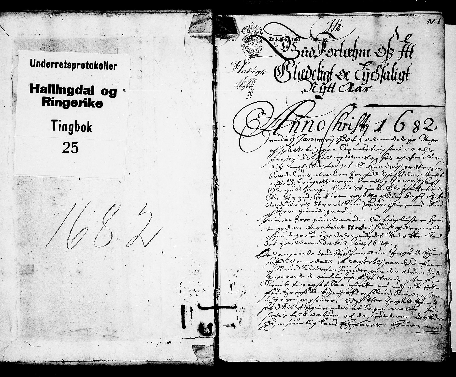 Ringerike og Hallingdal sorenskriveri, SAKO/A-81/F/Fa/Faa/L0016: Tingbok, 1682, p. 1