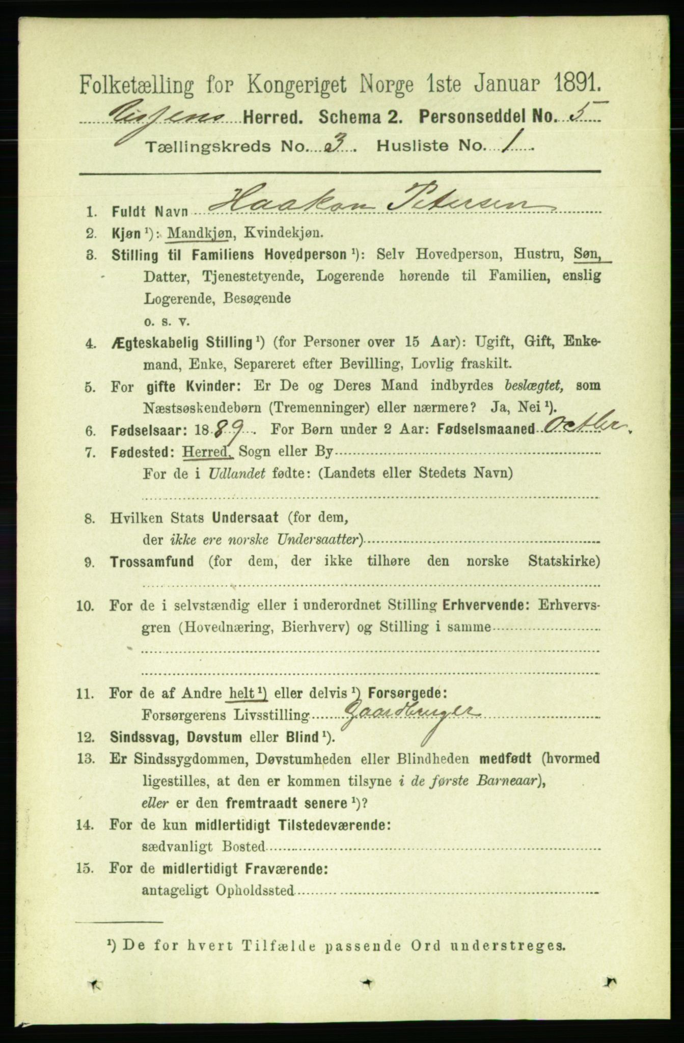 RA, 1891 census for 1624 Rissa, 1891, p. 1591