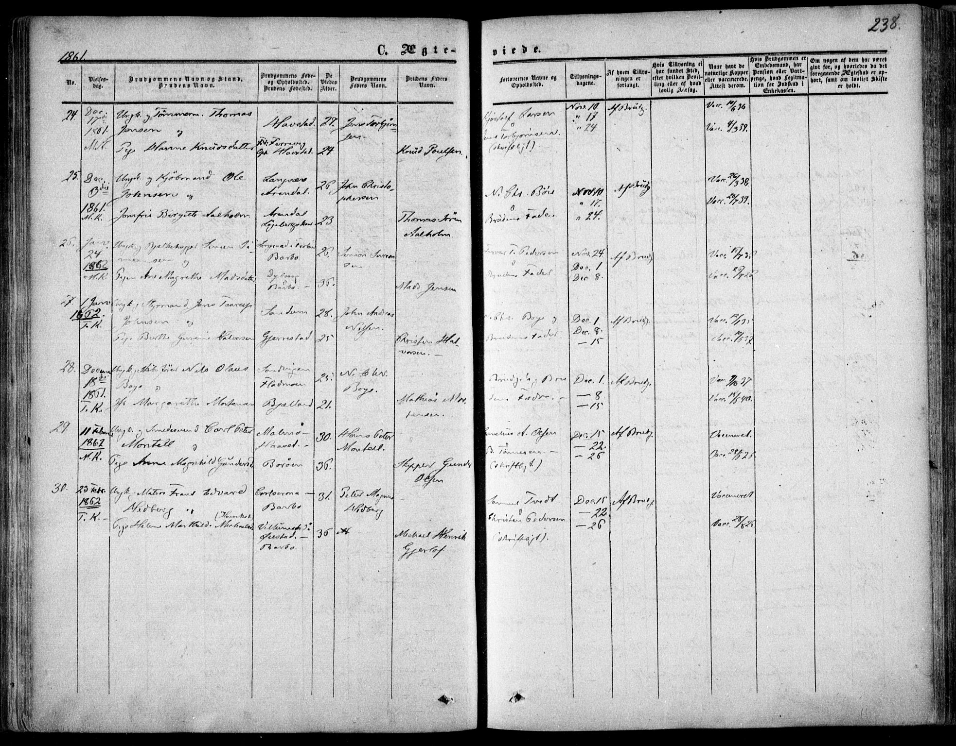 Tromøy sokneprestkontor, AV/SAK-1111-0041/F/Fa/L0006: Parish register (official) no. A 6, 1855-1863, p. 238