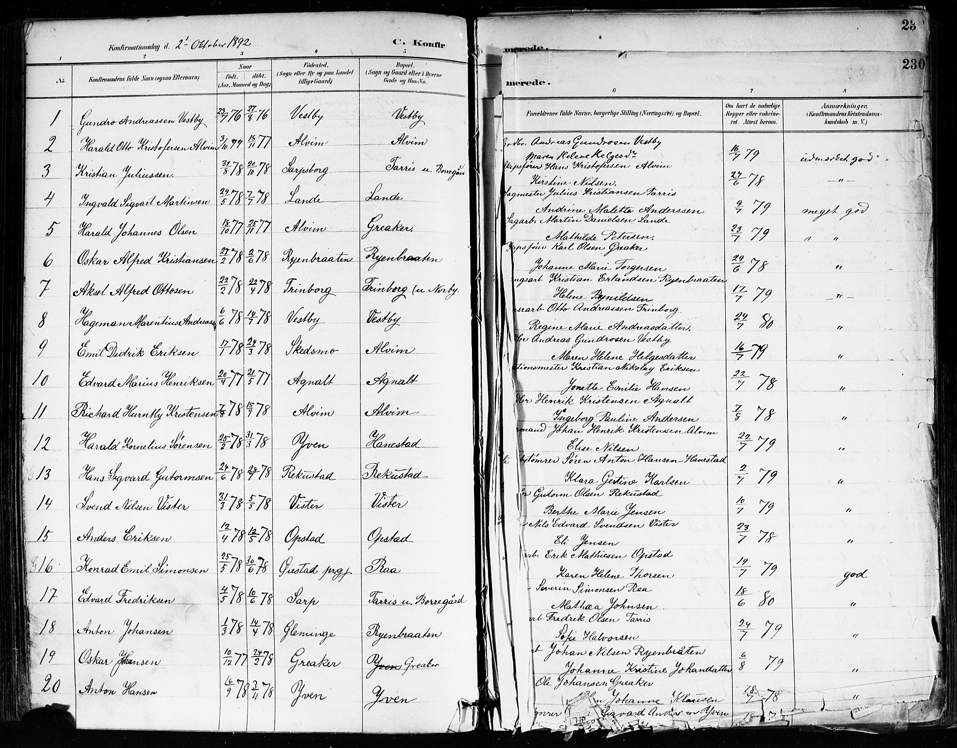 Tune prestekontor Kirkebøker, AV/SAO-A-2007/F/Fa/L0018: Parish register (official) no. 18, 1887-1898, p. 230