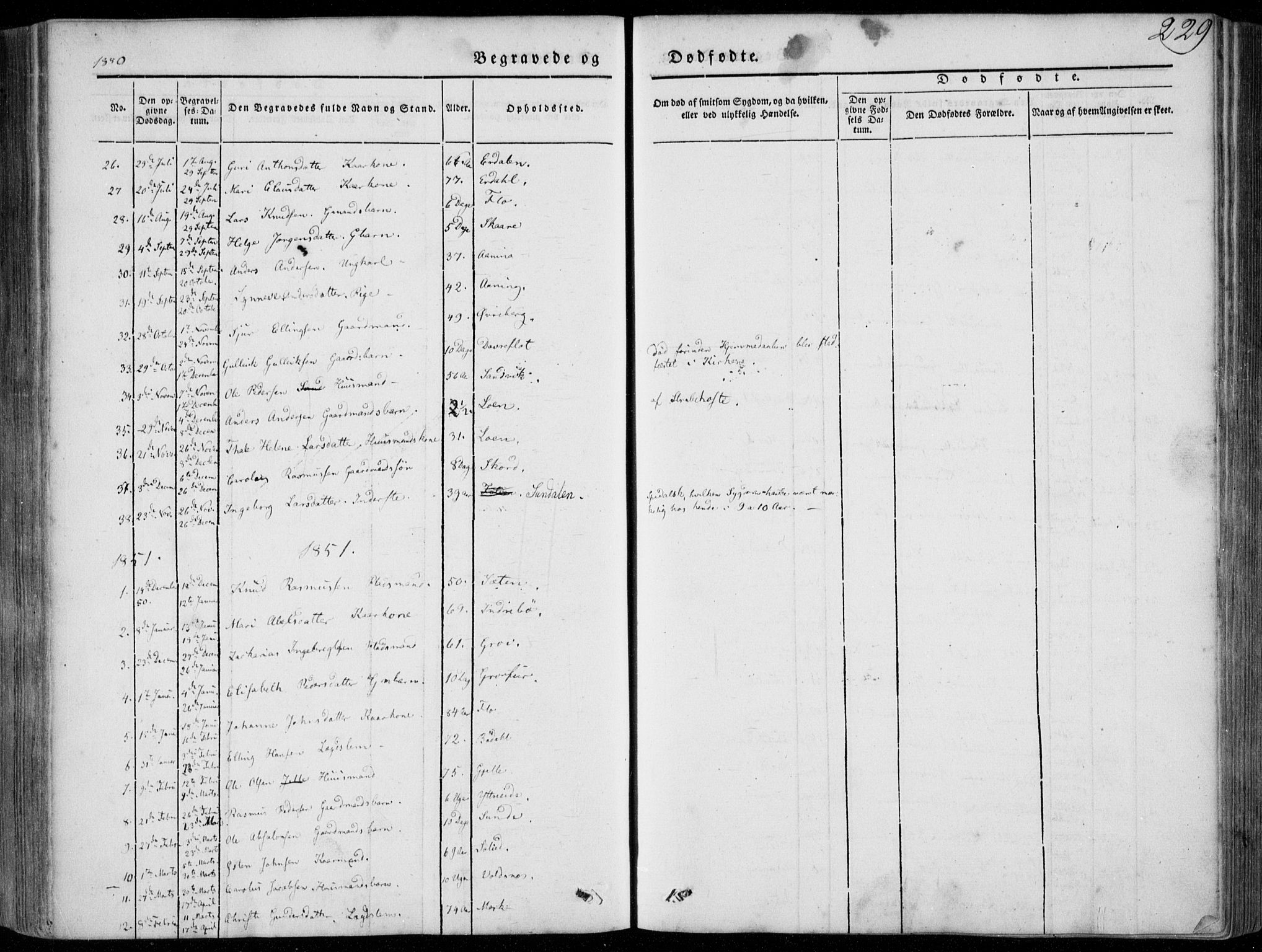 Stryn Sokneprestembete, SAB/A-82501: Parish register (official) no. A 2, 1844-1861, p. 229