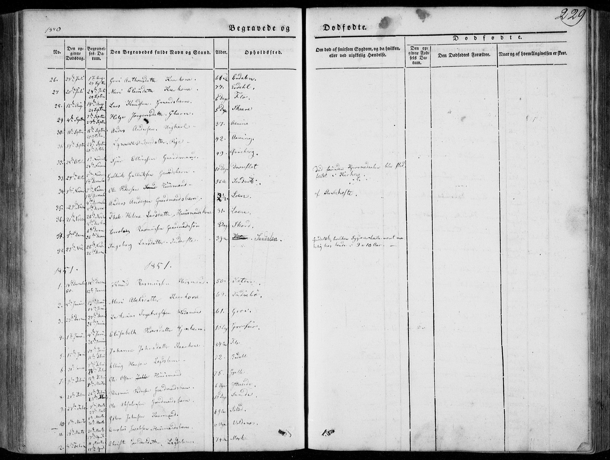 Stryn Sokneprestembete, AV/SAB-A-82501: Parish register (official) no. A 2, 1844-1861, p. 229