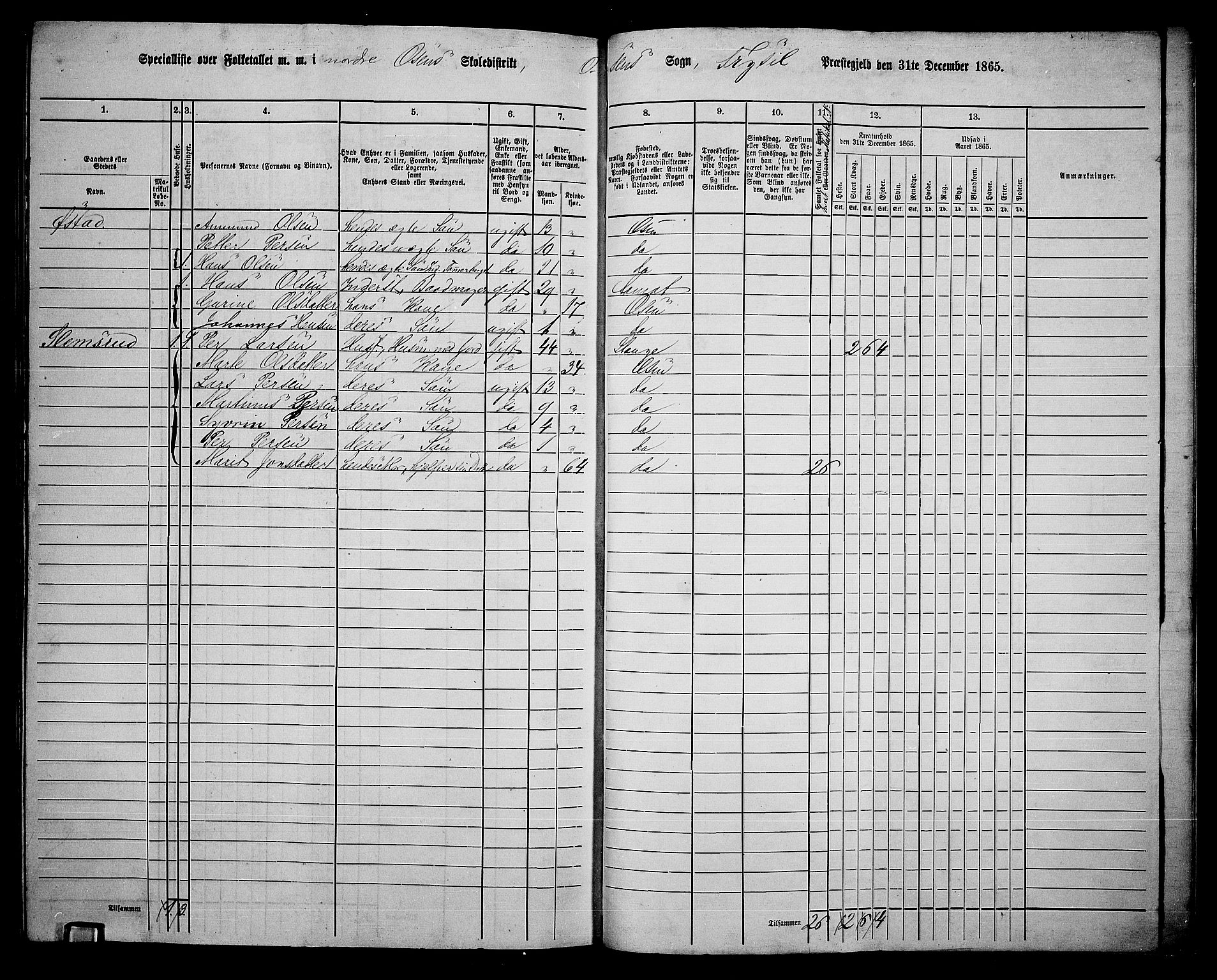 RA, 1865 census for Trysil, 1865, p. 163