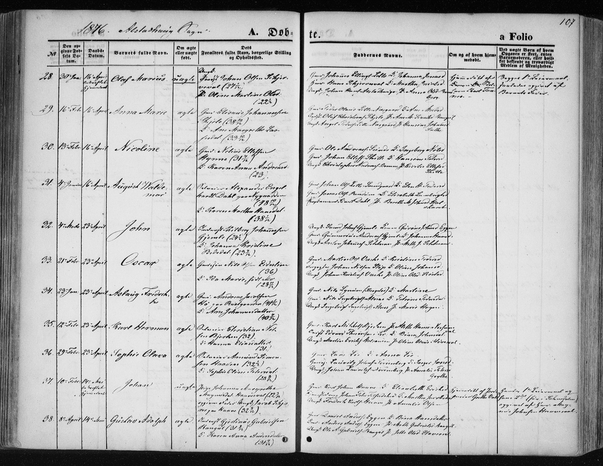 Ministerialprotokoller, klokkerbøker og fødselsregistre - Nord-Trøndelag, AV/SAT-A-1458/717/L0157: Parish register (official) no. 717A08 /1, 1863-1877, p. 107