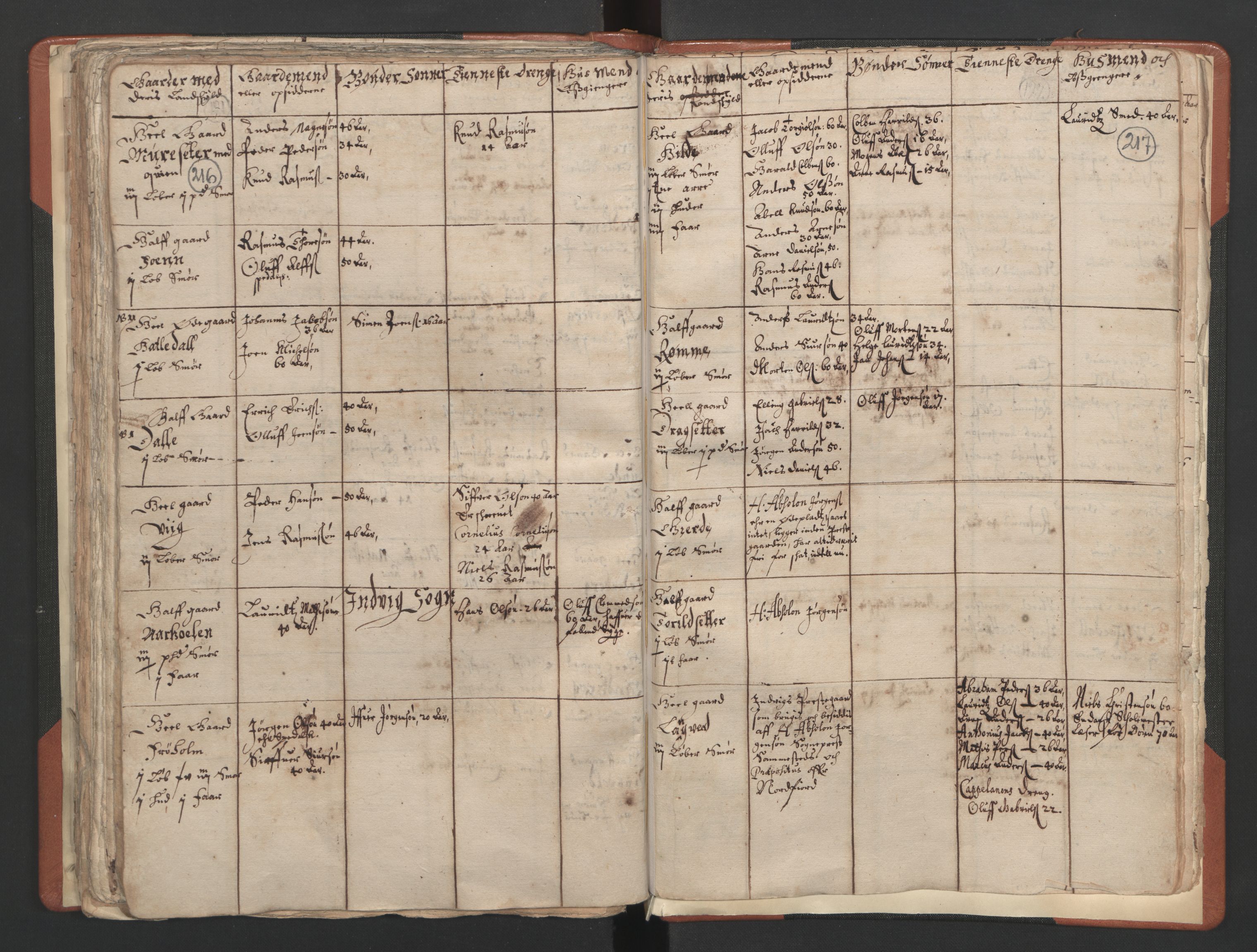 RA, Vicar's Census 1664-1666, no. 25: Nordfjord deanery, 1664-1666, p. 216-217