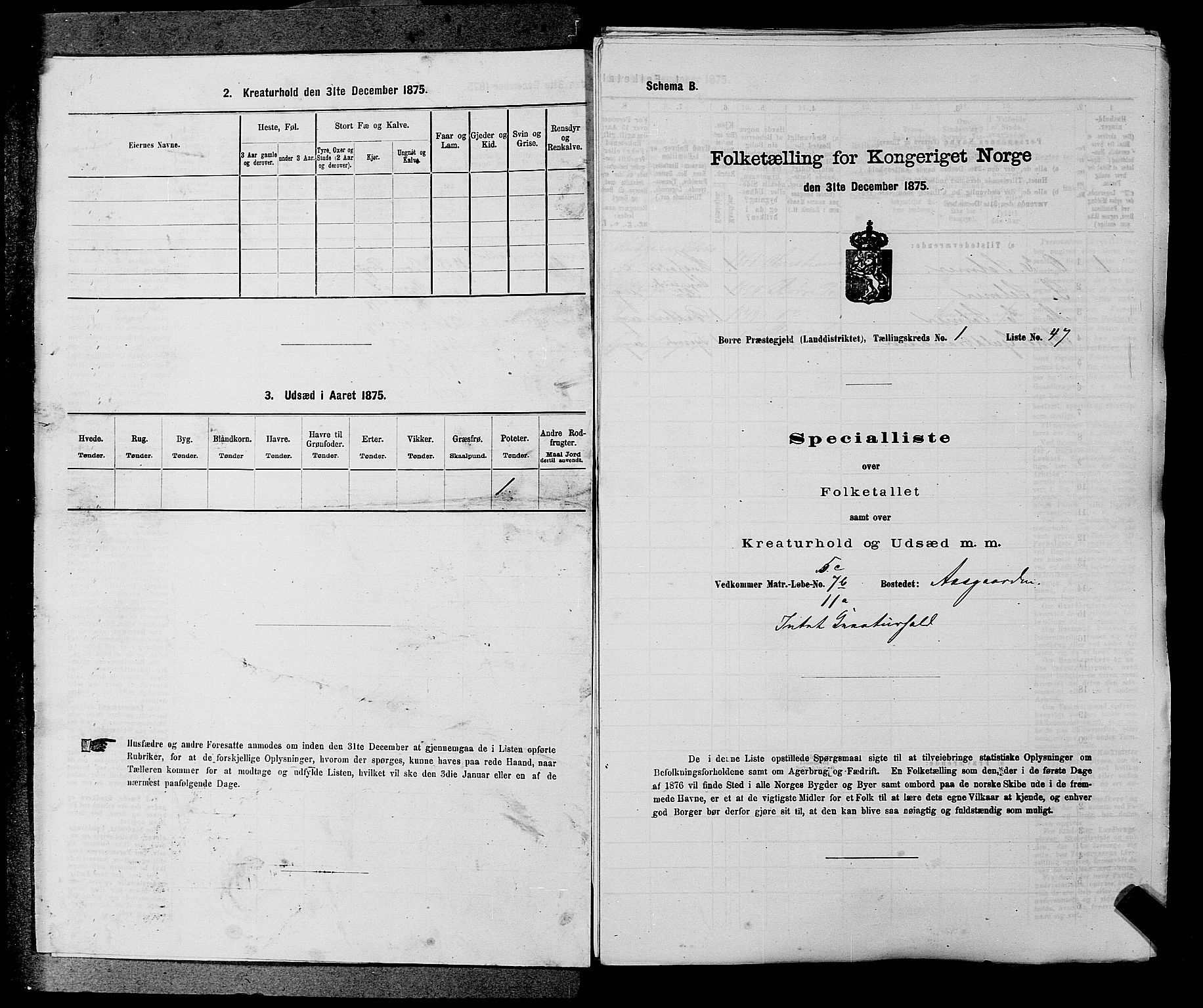 SAKO, 1875 census for 0717L Borre/Borre og Nykirke, 1875, p. 41