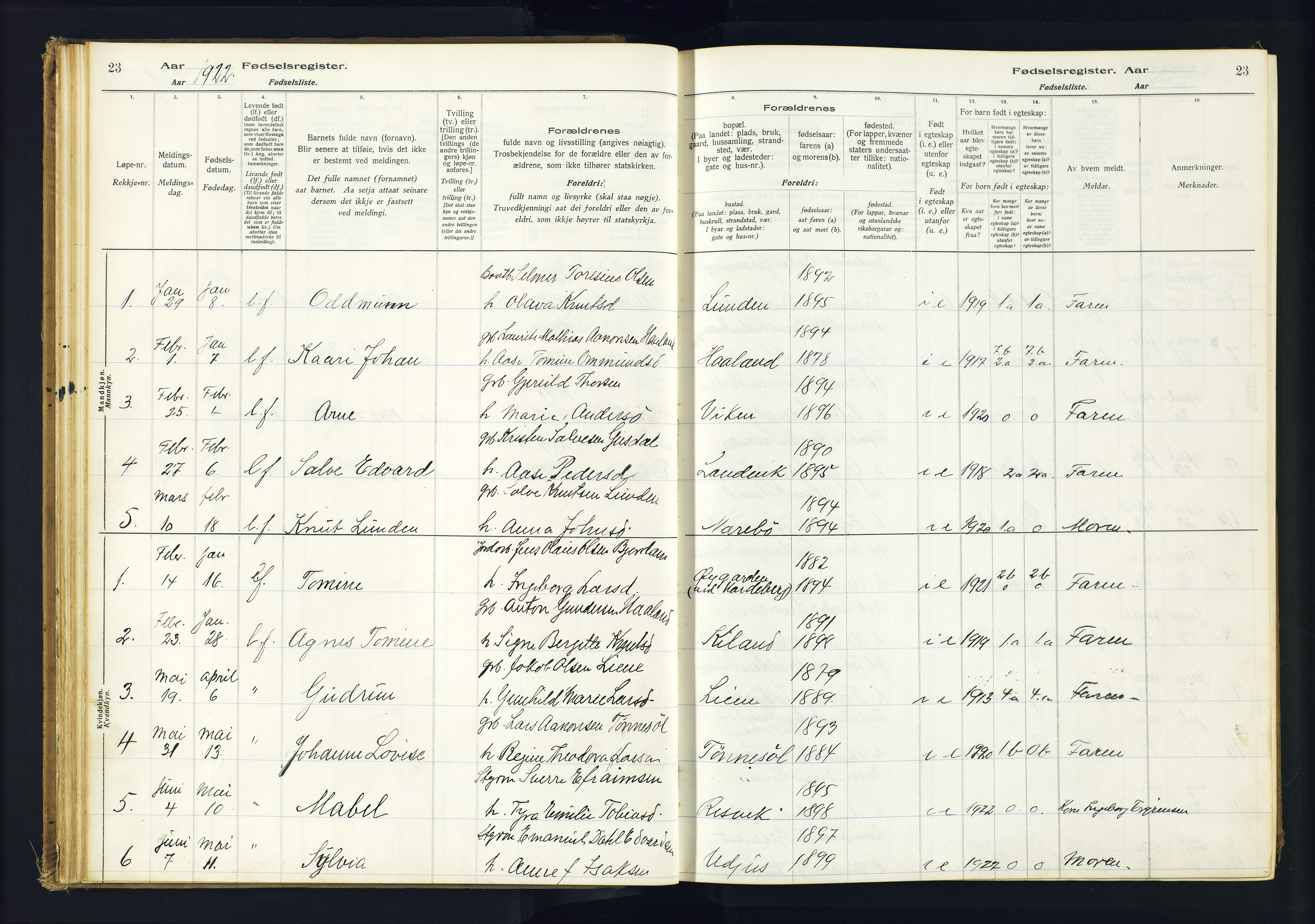 Hommedal sokneprestkontor, AV/SAK-1111-0023/J/Jd/L0001: Birth register no. 1, 1916-1962, p. 23