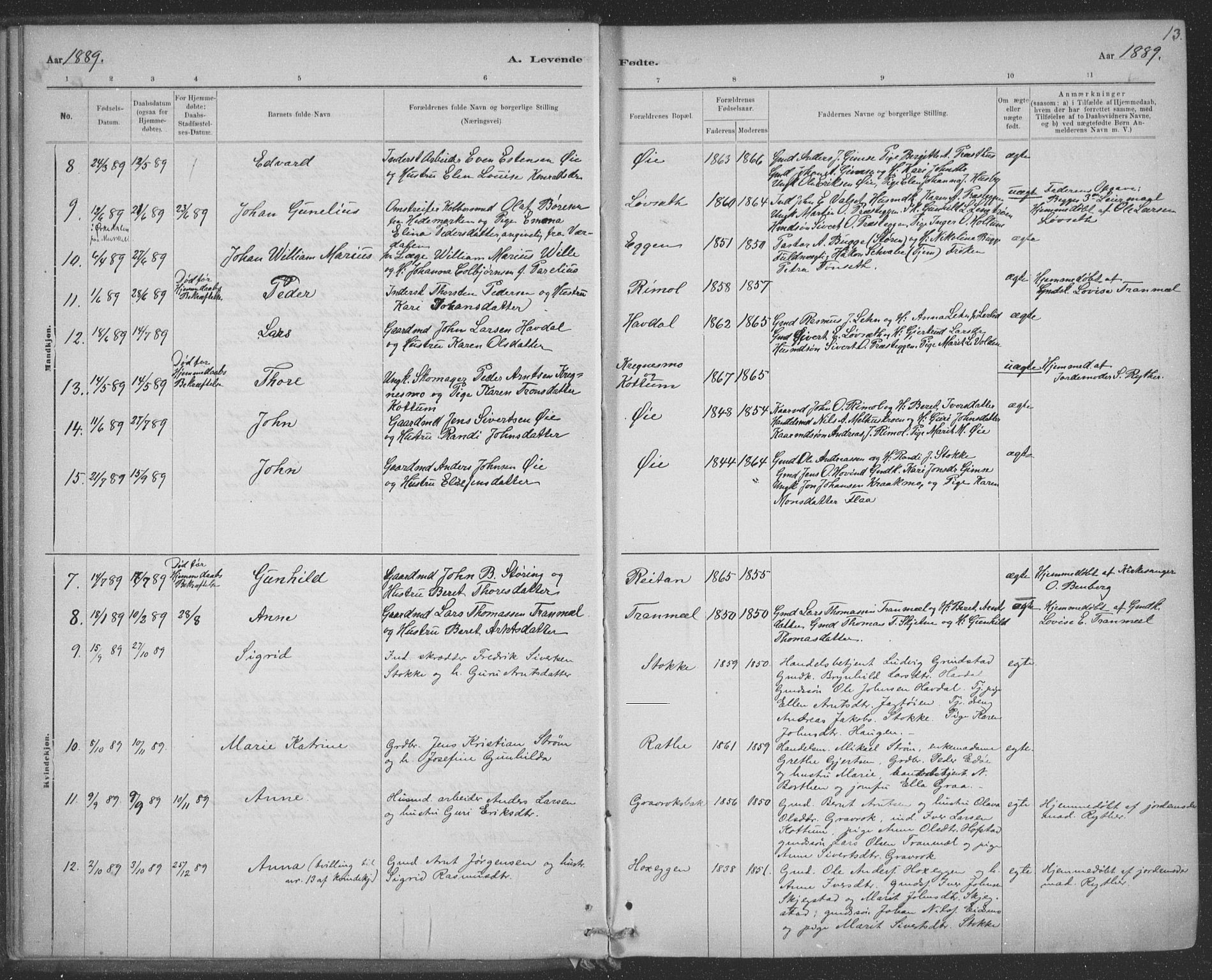 Ministerialprotokoller, klokkerbøker og fødselsregistre - Sør-Trøndelag, SAT/A-1456/691/L1085: Parish register (official) no. 691A17, 1887-1908, p. 13