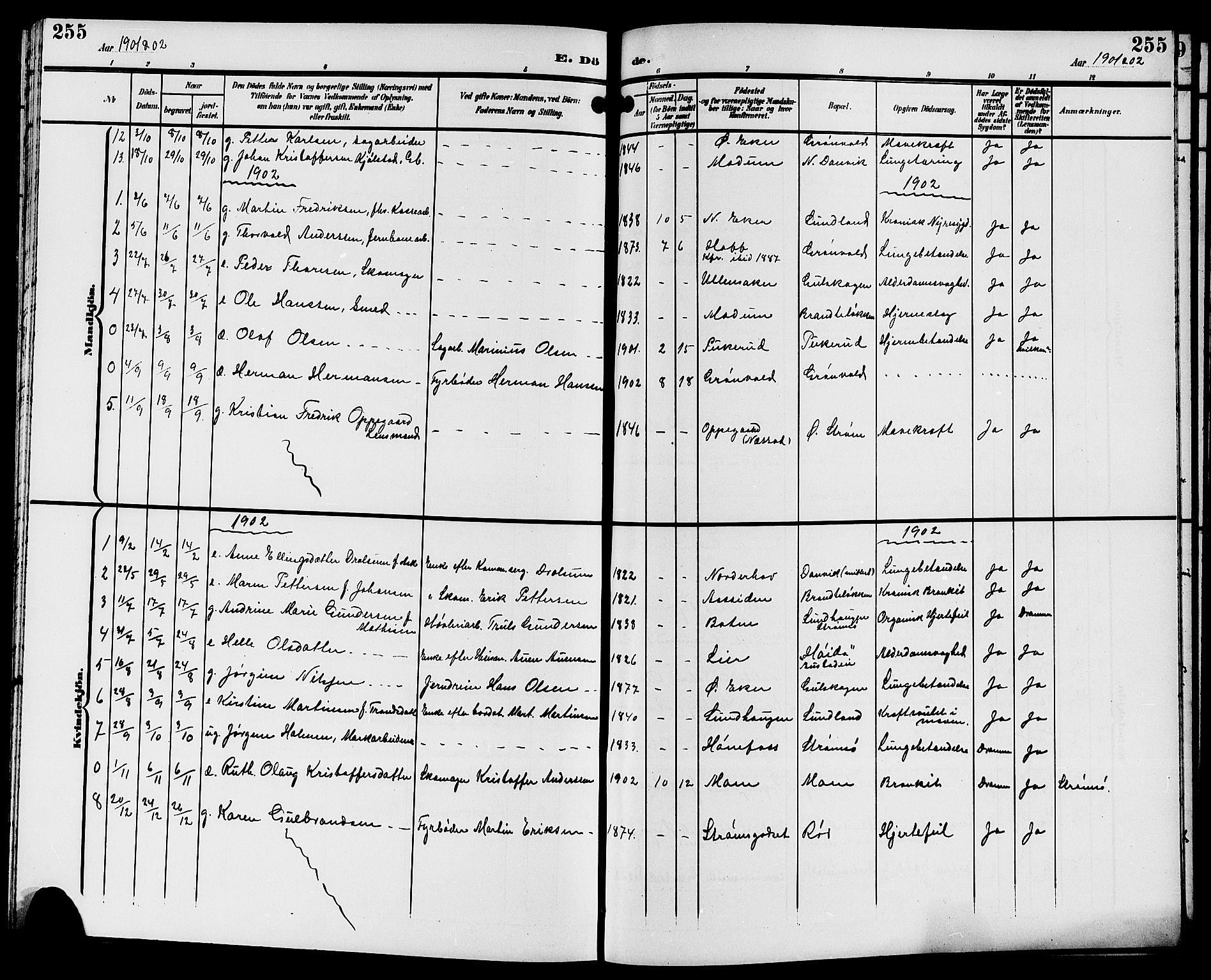 Strømsgodset kirkebøker, SAKO/A-324/G/Ga/L0002: Parish register (copy) no. 2, 1885-1910, p. 255
