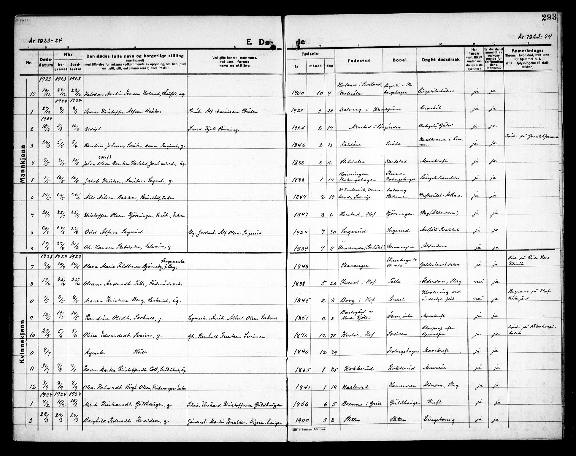 Åsnes prestekontor, SAH/PREST-042/H/Ha/Haa/L0000C: Parish register (official) no. 0A, 1890-1929, p. 293