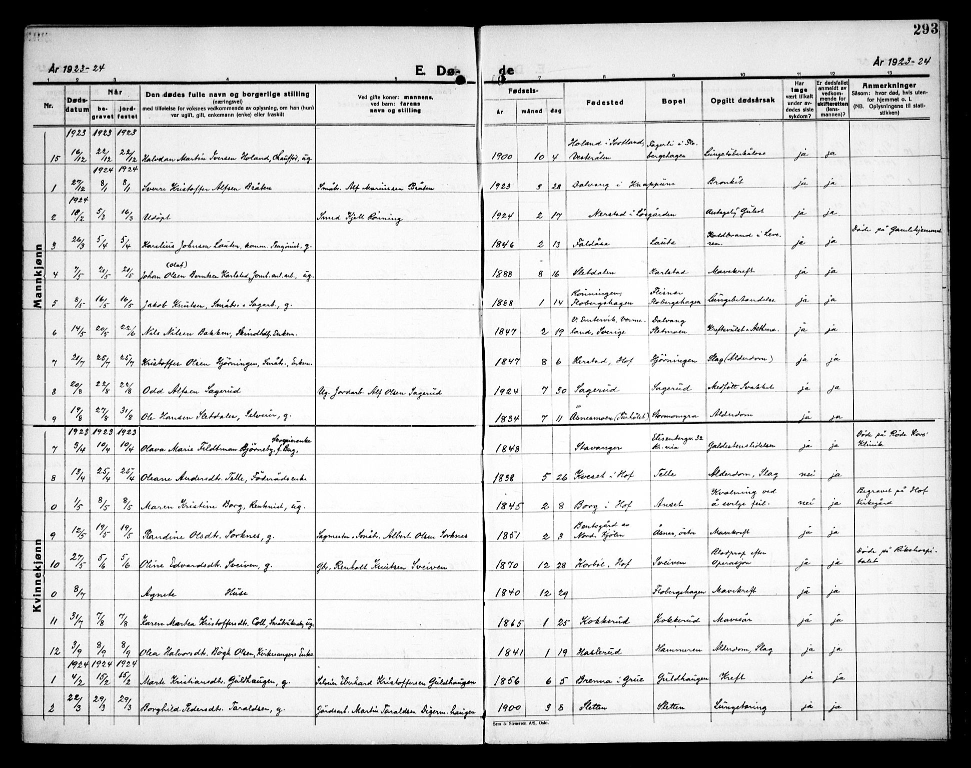 Åsnes prestekontor, AV/SAH-PREST-042/H/Ha/Haa/L0000C: Parish register (official) no. 0A, 1890-1929, p. 293